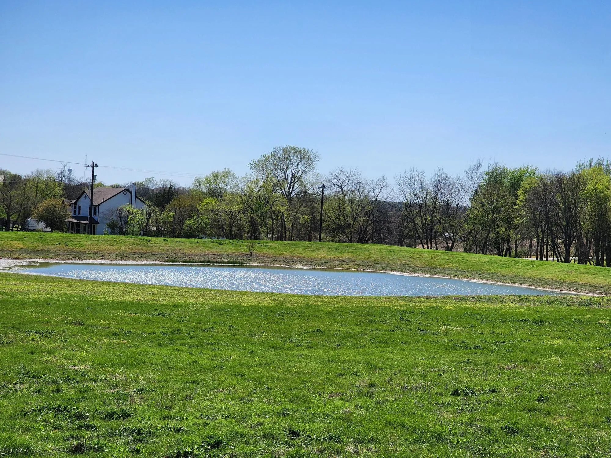 Improved Land For Sale in Collin County , 15957 County Road 566, Farmersville, Texas 75442, 0, 0, Garage spaces, 0 Sqft, built in 1974, Price $1,099,000, mls#21215675, Real Estate Agent in Farmersville, Homes For Sale in Collin county, Homes For Sale in Farmersville, Realtor in Farmersville Texas, Real Estate Brokerage Independent Realty Texas, Luminita Cordes Realtor