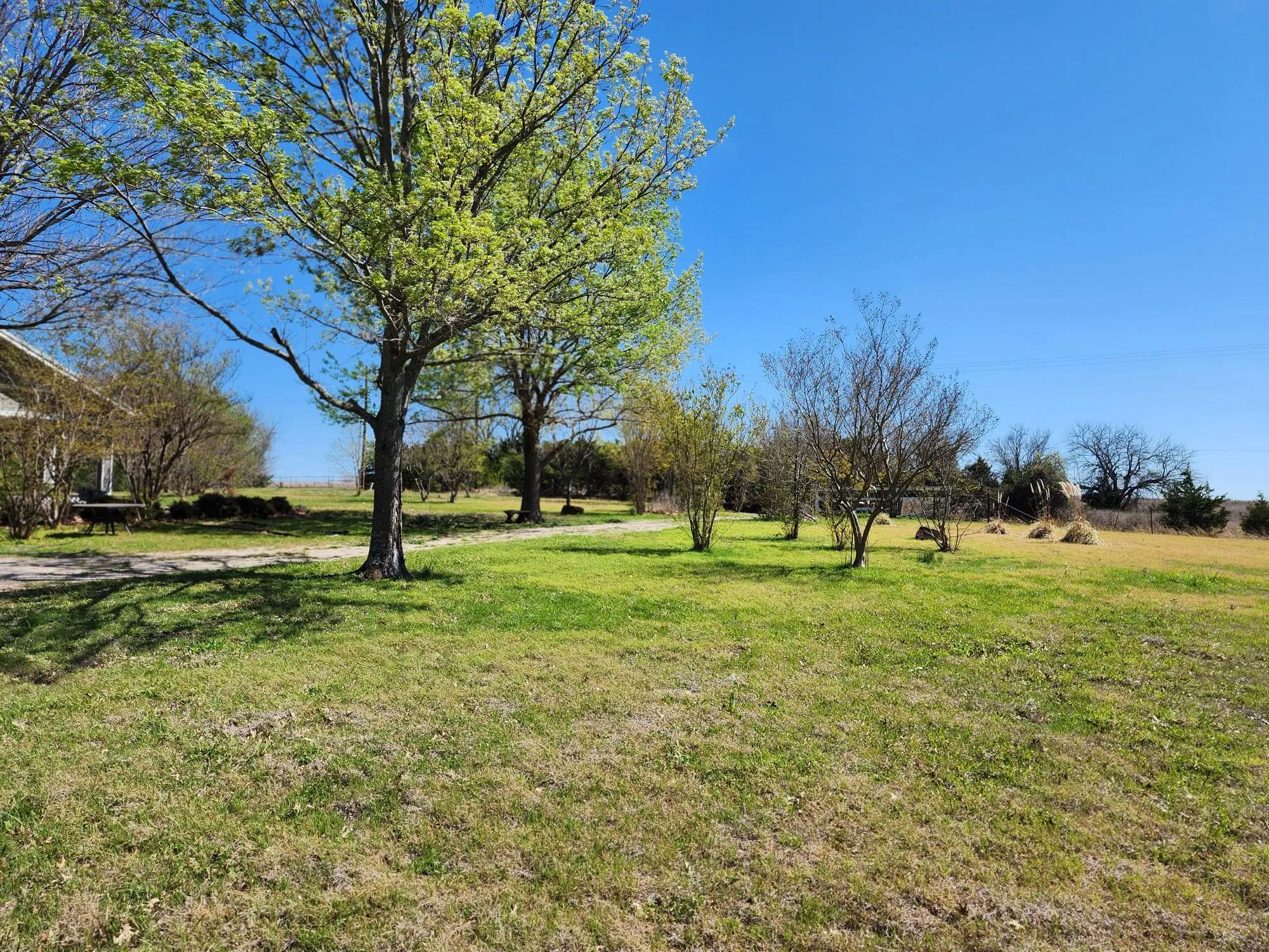 View of grassy yard