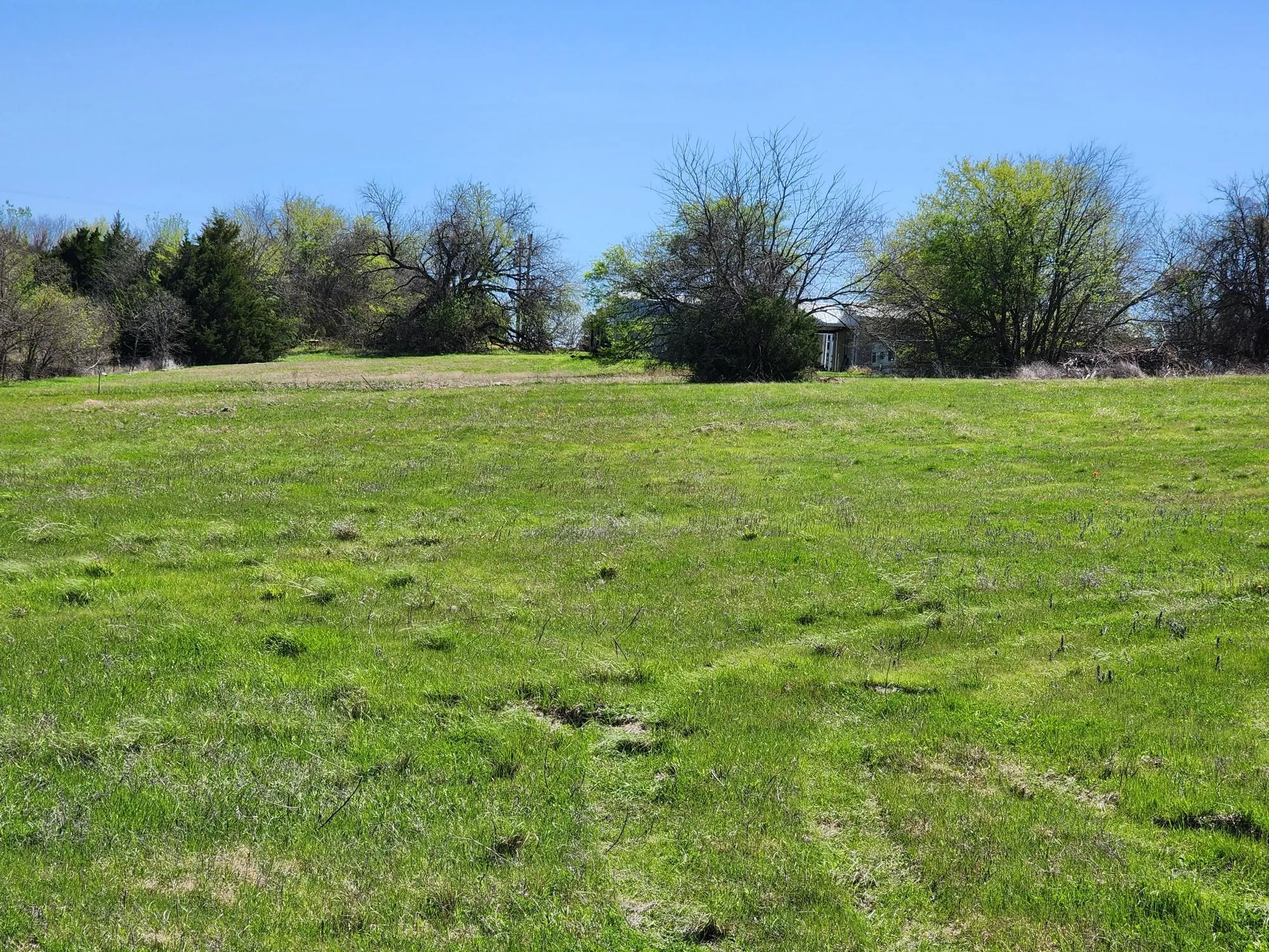 View of grassy yard featuring a rural view