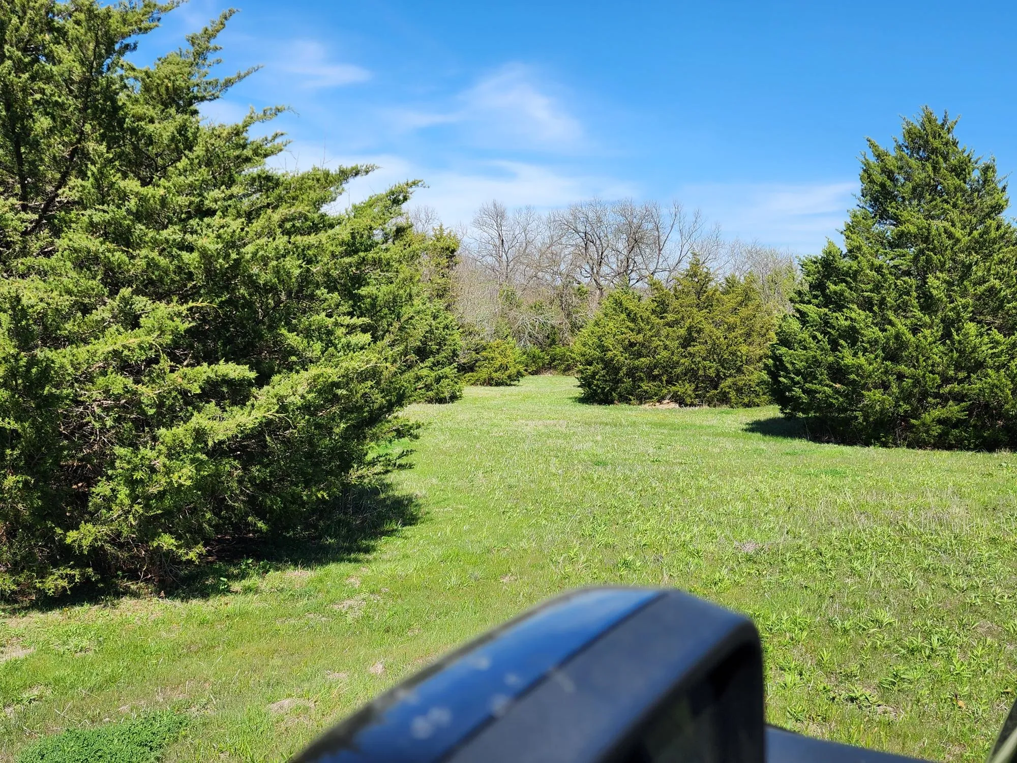 View of grassy yard