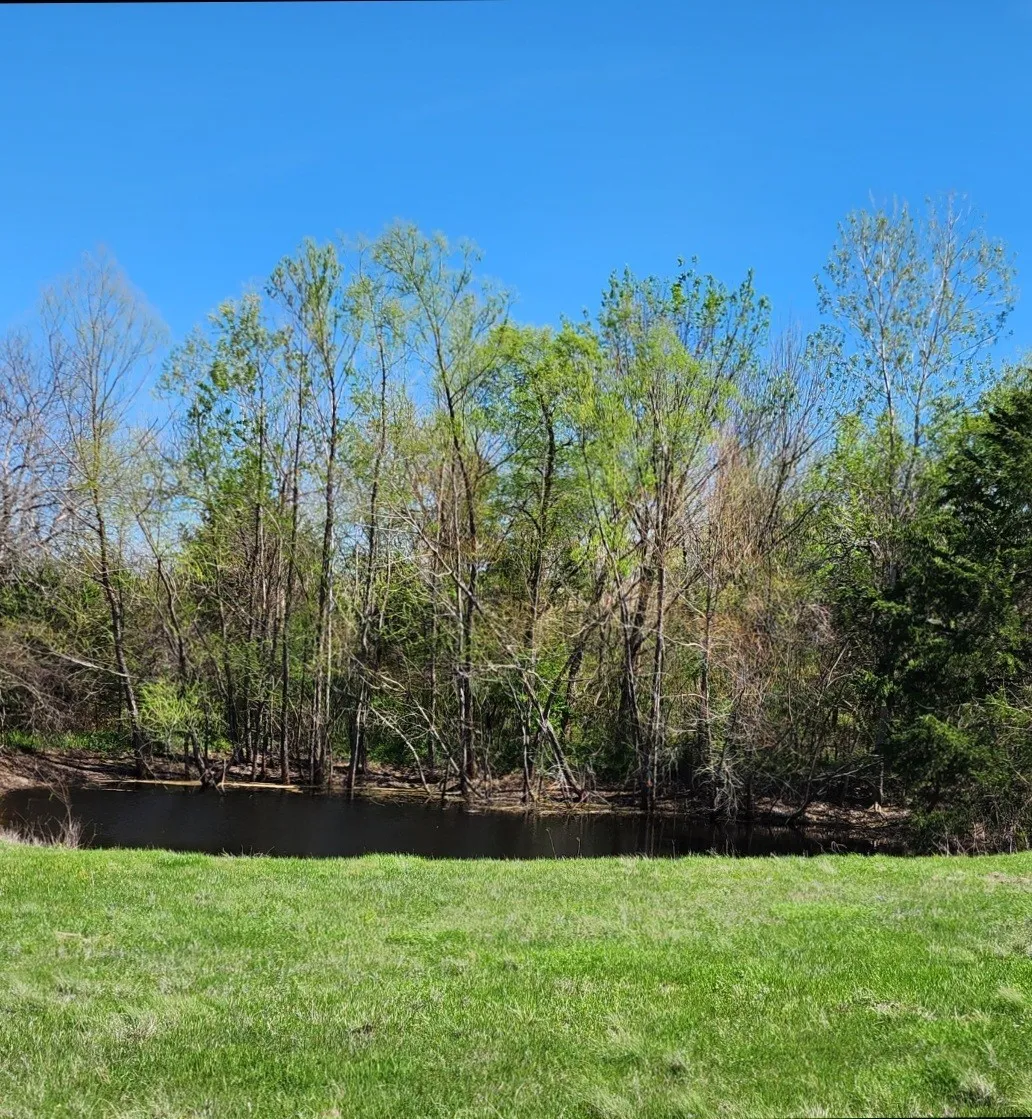 View of green lawn with a water view