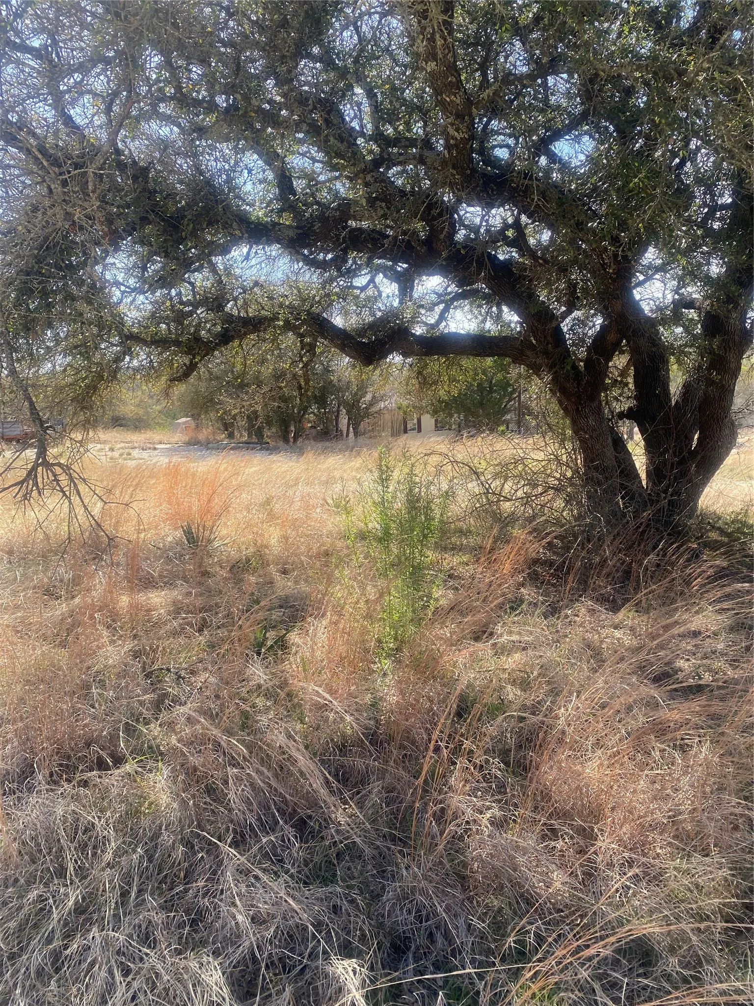 Mobile Home For Sale in Coryell County , 6036 E US Highway 84 Highway E, Evant, Texas 76525, 3 Bedroom, 2 Bathroom, Garage spaces, 1,736 Sqft, built in 2013, Preowned, mls#21214451, Real Estate Agent in Evant, Homes For Sale in Coryell county, Homes For Sale in Evant, Realtor in Evant Texas, Real Estate Brokerage Independent Realty Texas, Luminita Cordes Realtor