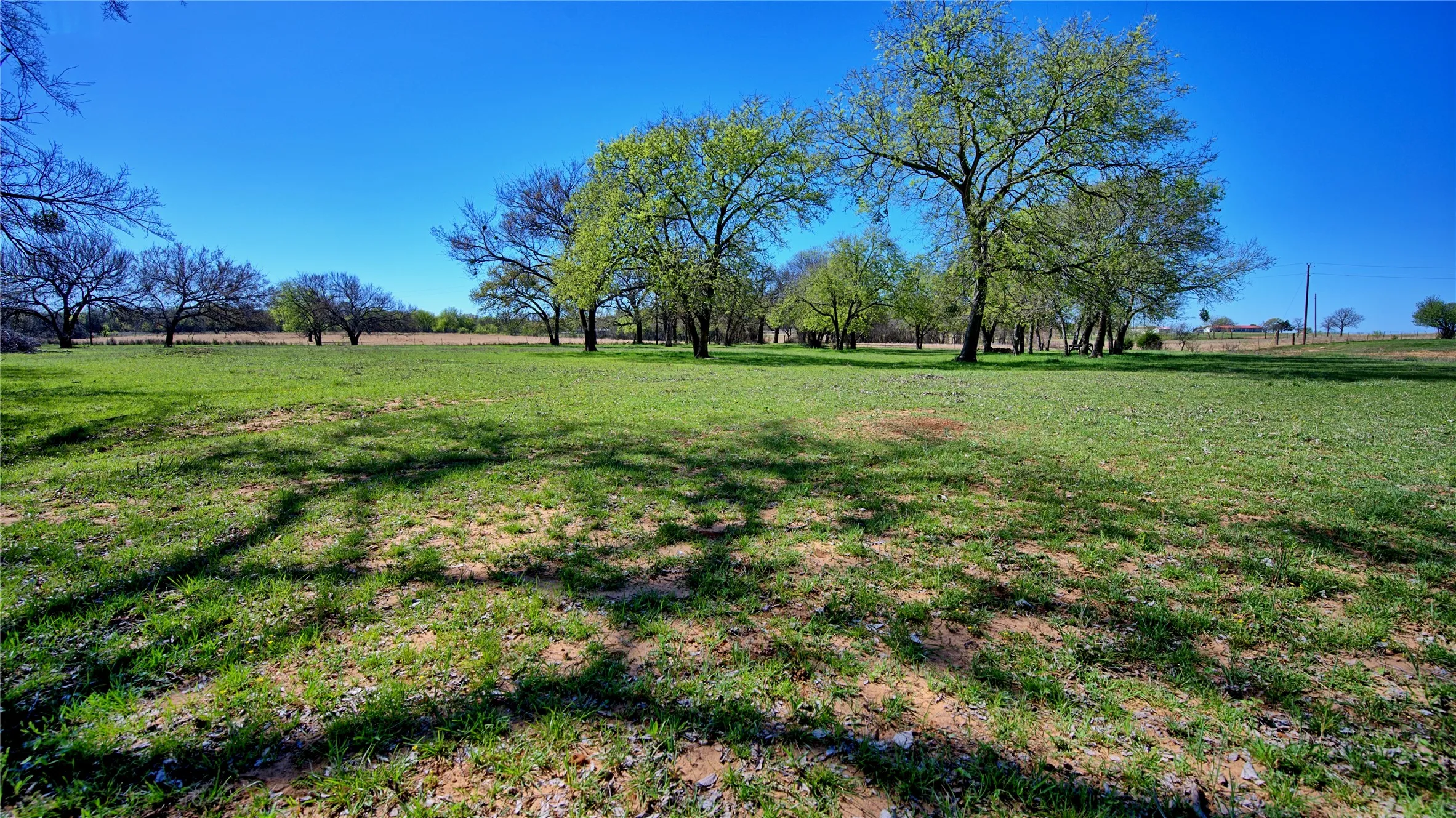 Farm For Sale in Montague County , 4179 Rock Springs School Road, Nocona, Texas 76255, 4 Bedrooms, 2 Bathrooms, 3 Garage spaces, 2,938 Sqft, built in 1985, Price $825,000, mls#21211969, Real Estate Agent in Nocona, Homes For Sale in Montague county, Homes For Sale in Nocona, Realtor in Nocona Texas, Real Estate Brokerage Independent Realty Texas, Luminita Cordes Realtor