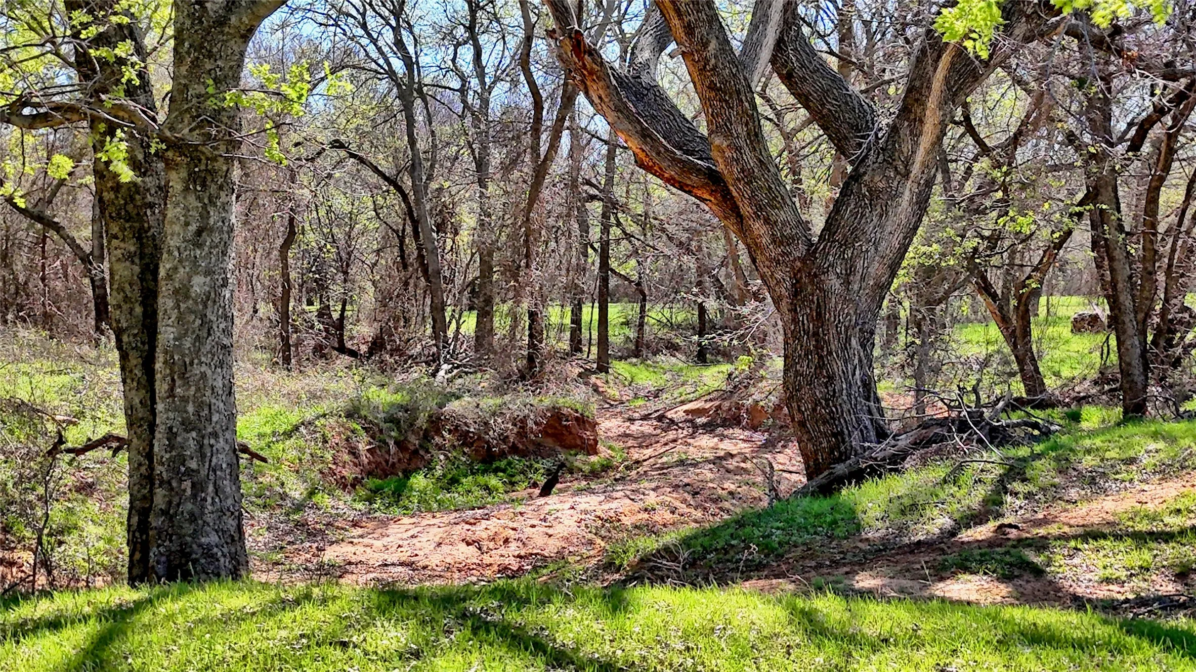 Farm For Sale in Montague County , 4179 Rock Springs School Road, Nocona, Texas 76255, 4 Bedrooms, 2 Bathrooms, 3 Garage spaces, 2,938 Sqft, built in 1985, Price $825,000, mls#21211969, Real Estate Agent in Nocona, Homes For Sale in Montague county, Homes For Sale in Nocona, Realtor in Nocona Texas, Real Estate Brokerage Independent Realty Texas, Luminita Cordes Realtor