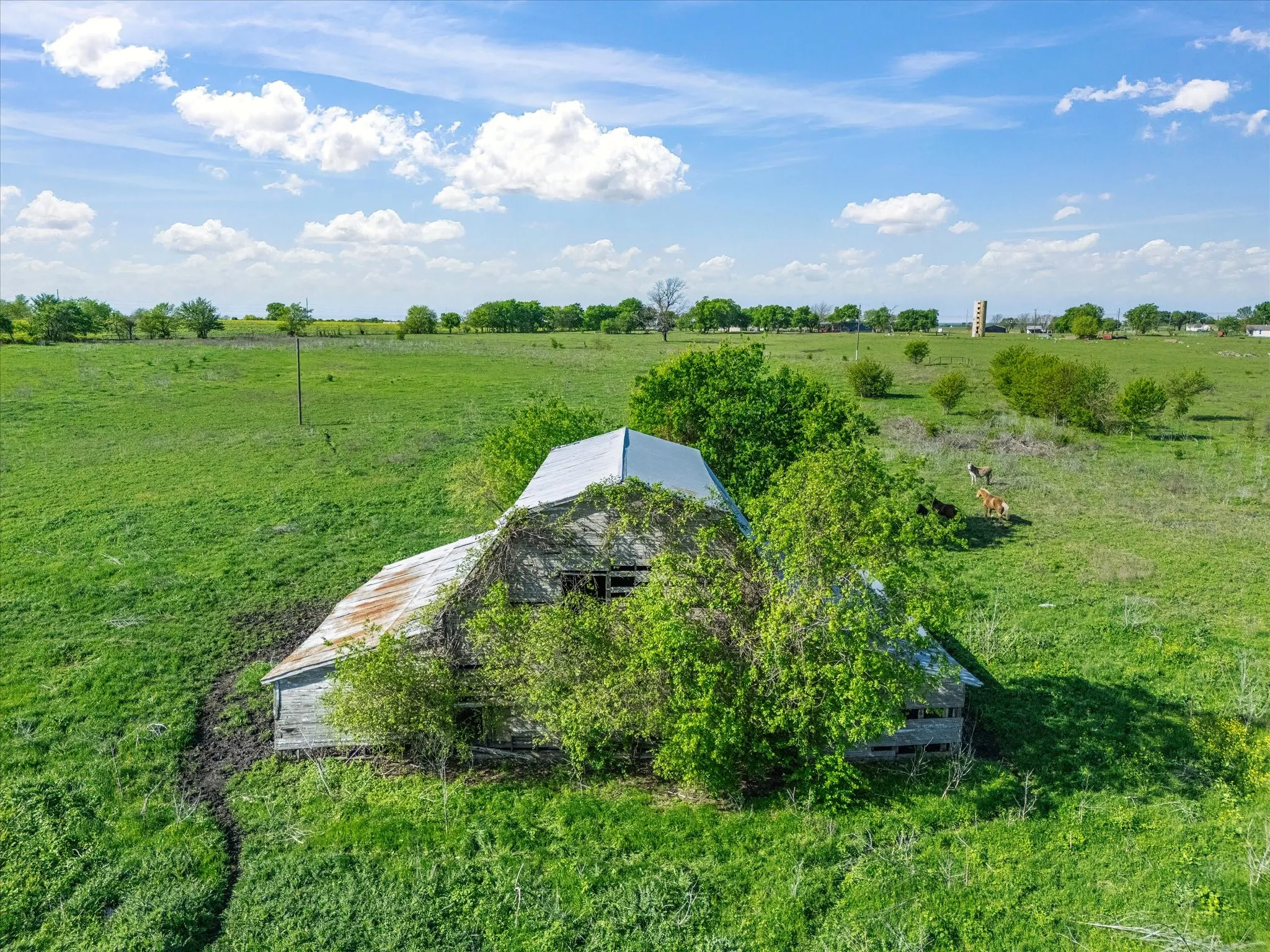 Single Family Residence For Sale in Ellis County , 1302 Forreston Road, Waxahachie, Texas 75165, 3 Bedroom, 3 Bathroom, 2 Garage spaces, 2,888 Sqft, built in 1966, Preowned, mls#21215468, Real Estate Agent in Waxahachie, Homes For Sale in Ellis county, Homes For Sale in Waxahachie, Realtor in Waxahachie Texas, Real Estate Brokerage Independent Realty Texas, Luminita Cordes Realtor