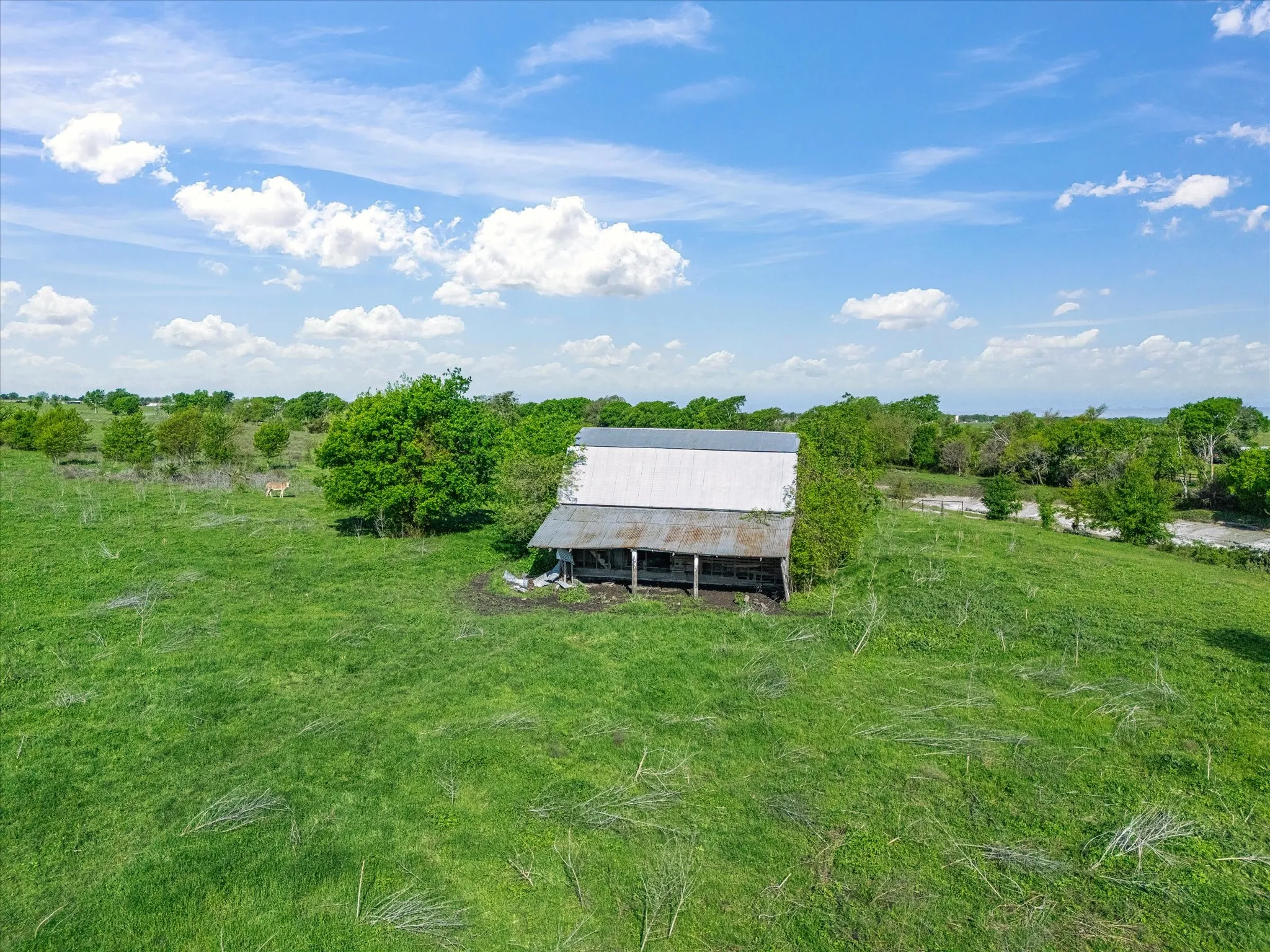 Single Family Residence For Sale in Ellis County , 1302 Forreston Road, Waxahachie, Texas 75165, 3 Bedroom, 3 Bathroom, 2 Garage spaces, 2,888 Sqft, built in 1966, Preowned, mls#21215468, Real Estate Agent in Waxahachie, Homes For Sale in Ellis county, Homes For Sale in Waxahachie, Realtor in Waxahachie Texas, Real Estate Brokerage Independent Realty Texas, Luminita Cordes Realtor