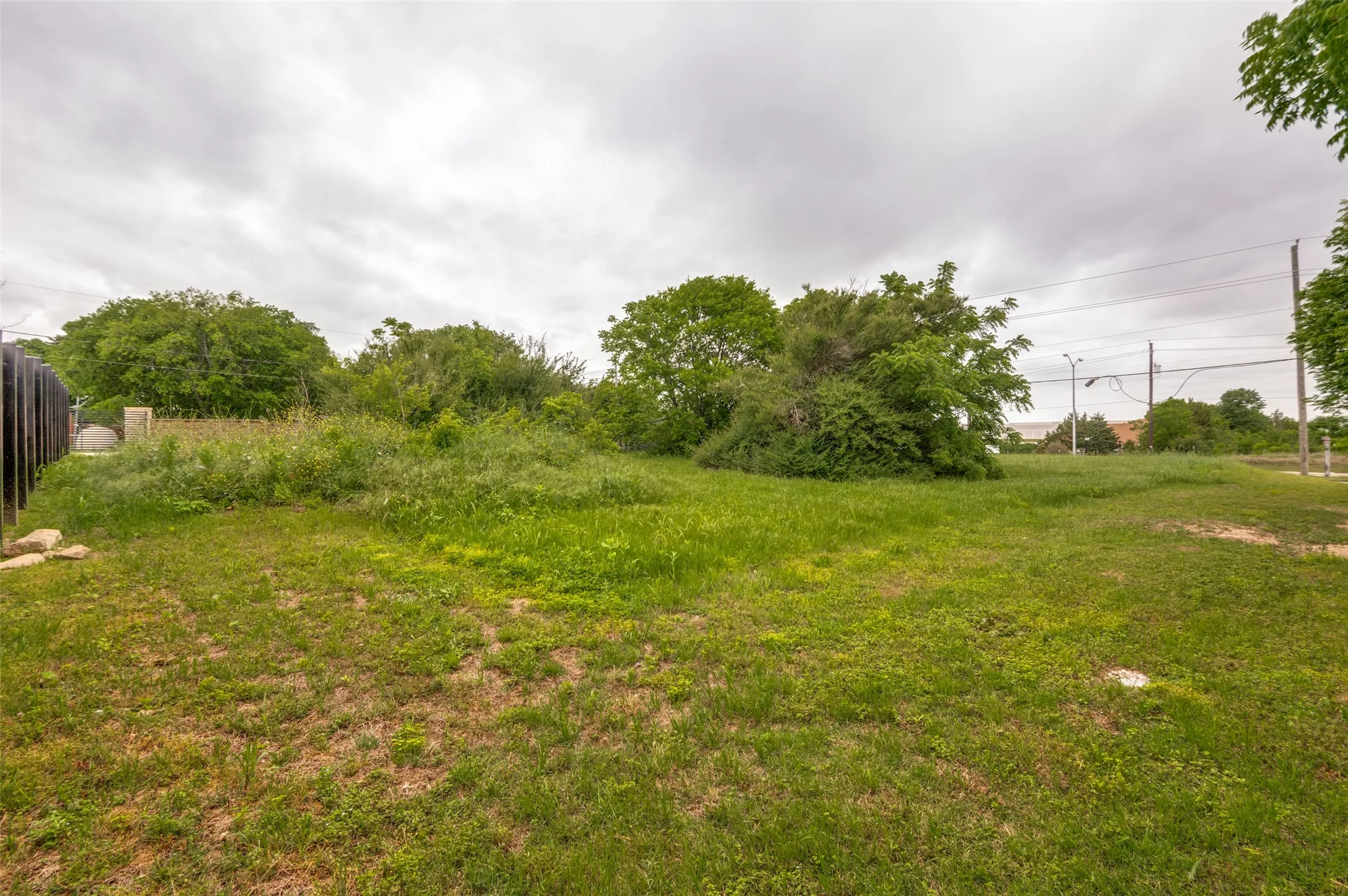 Expansive green space featuring natural vegetation and established trees