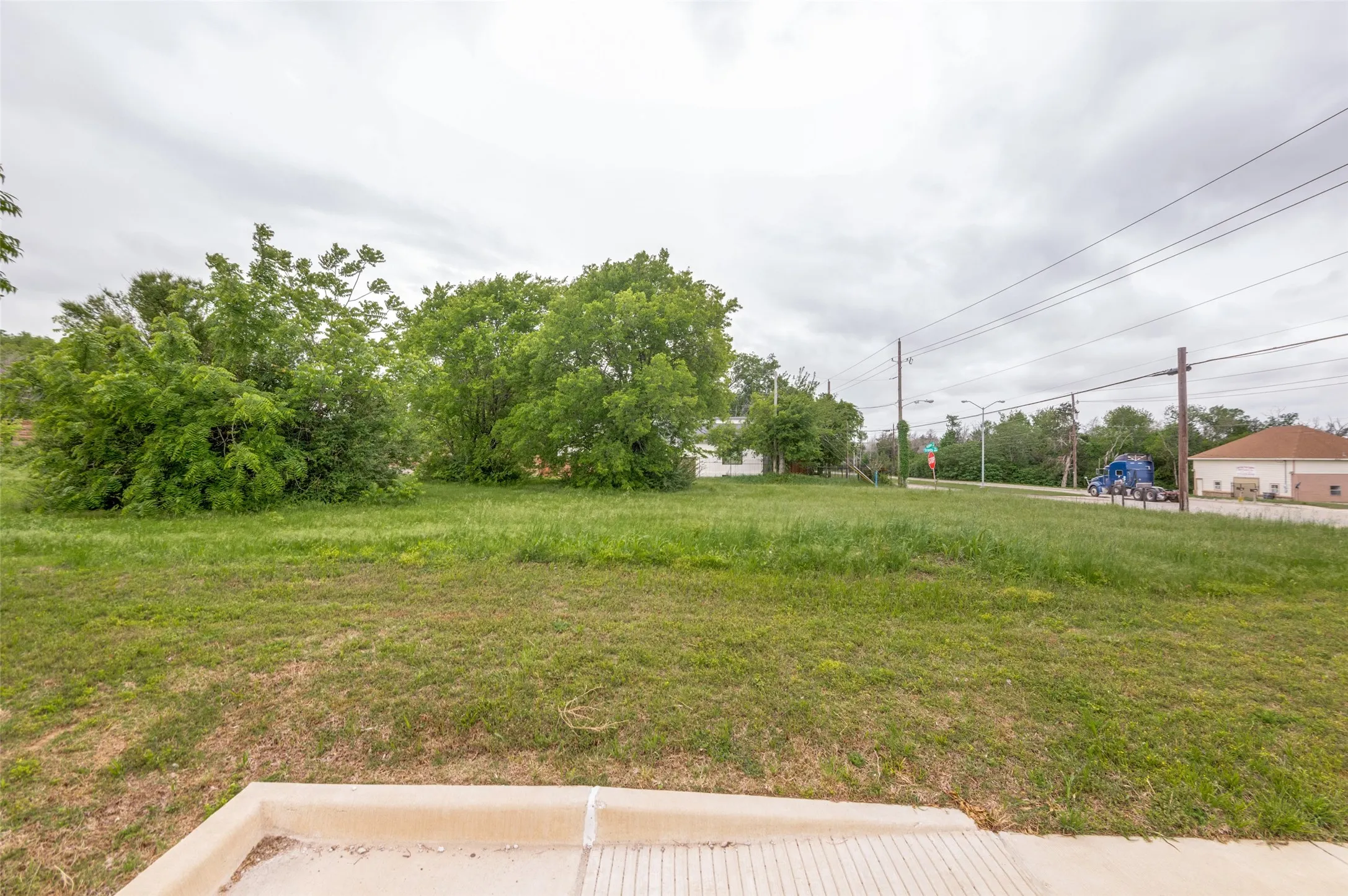 Expansive grassy lot featuring mature trees and a concrete curb