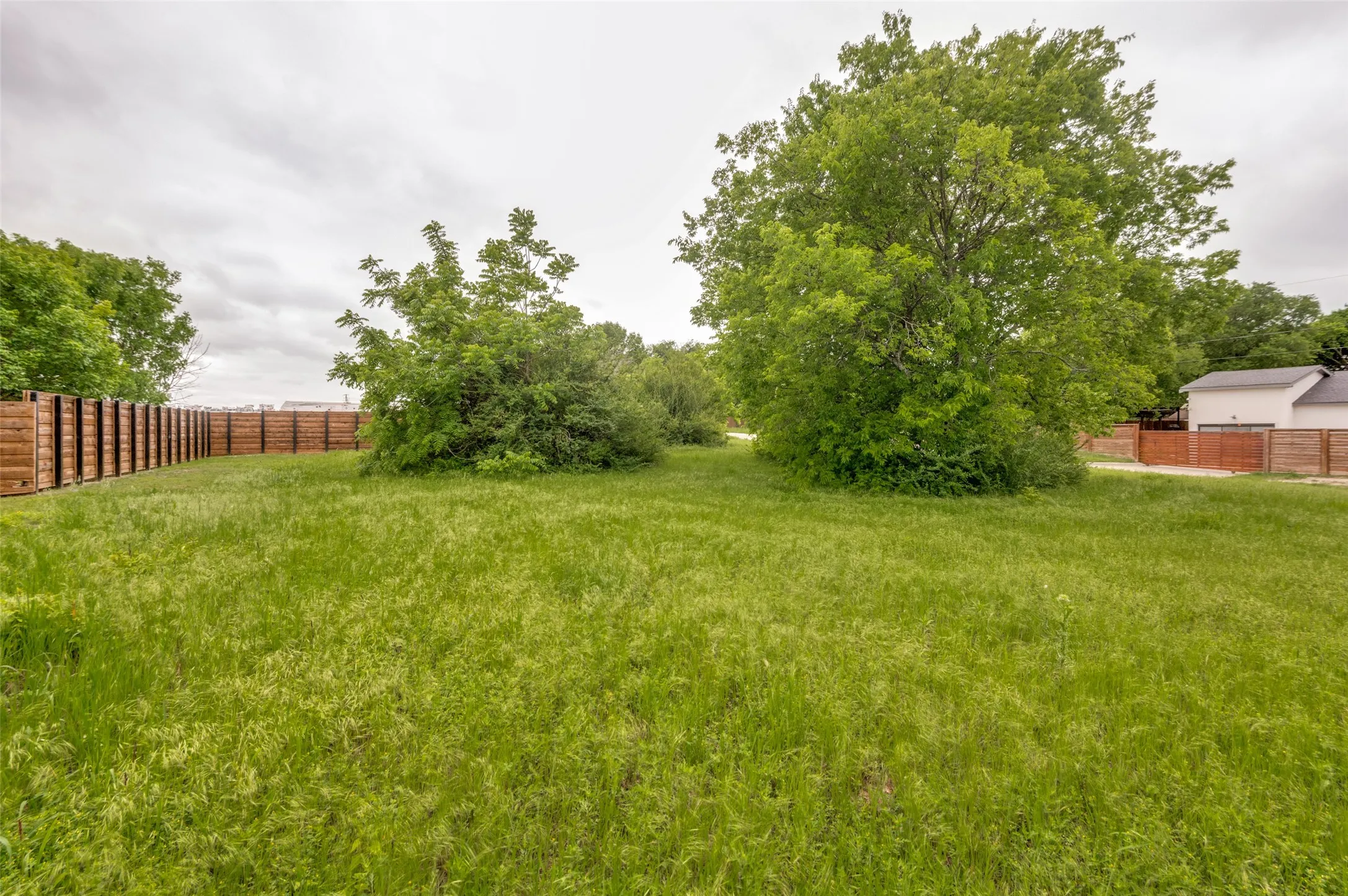 Expansive grassed area with mature trees and a wooden privacy fence