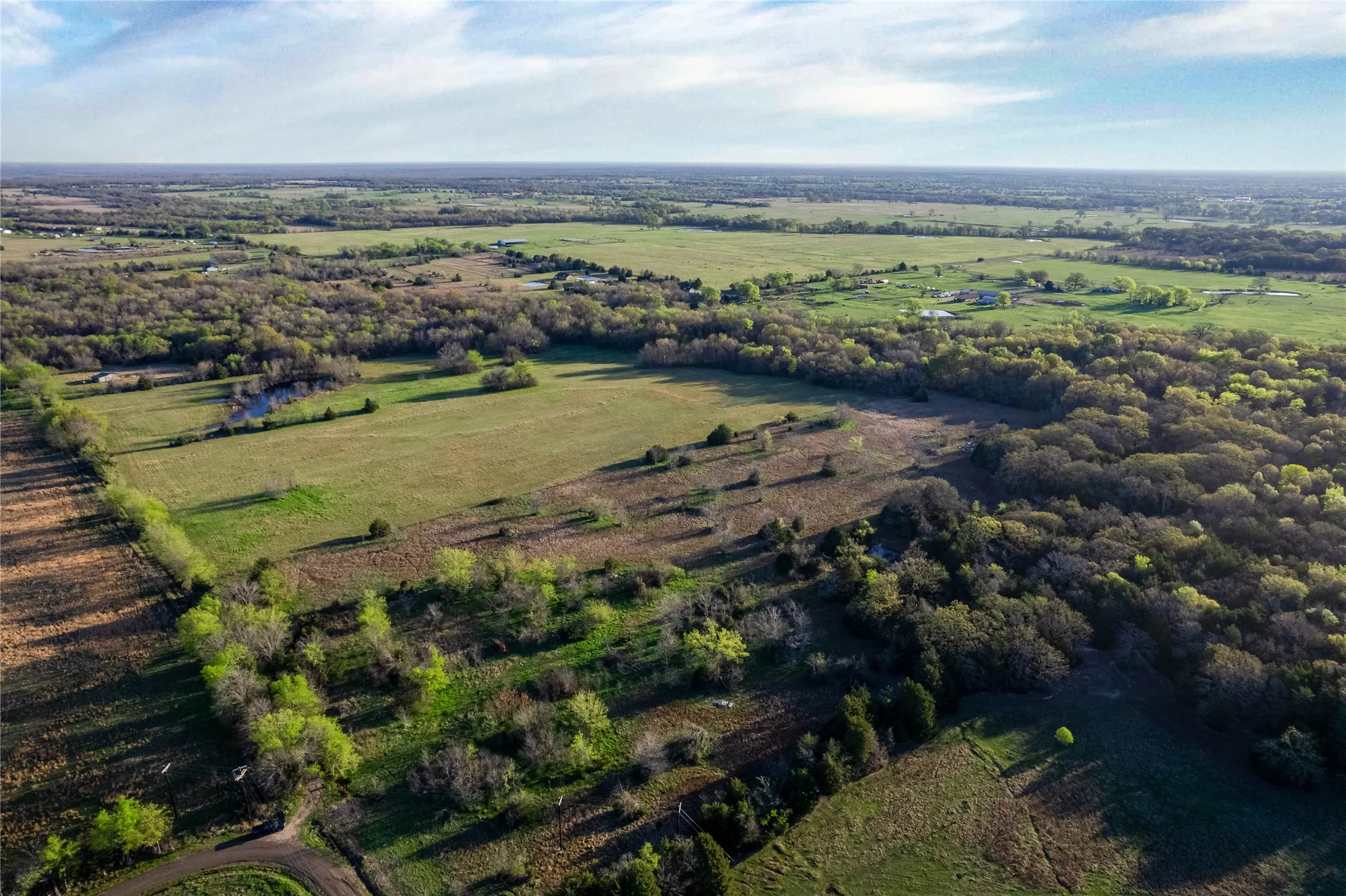 Overview of rural landscape featuring rows of crops