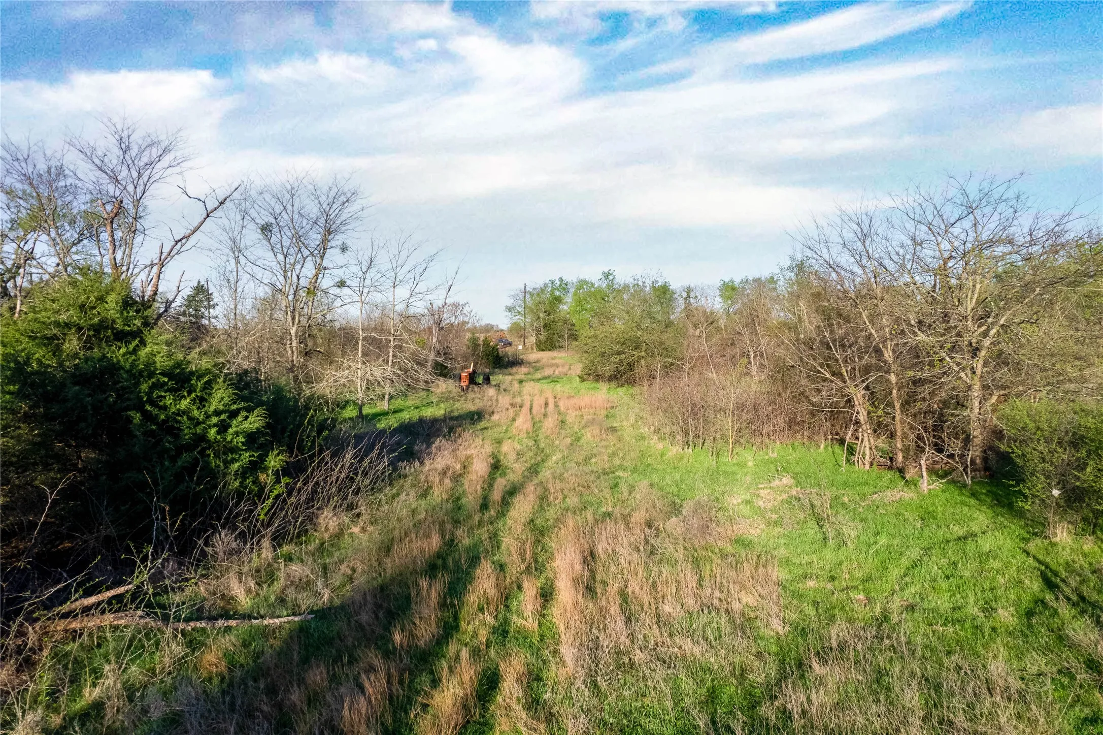 View of local wilderness