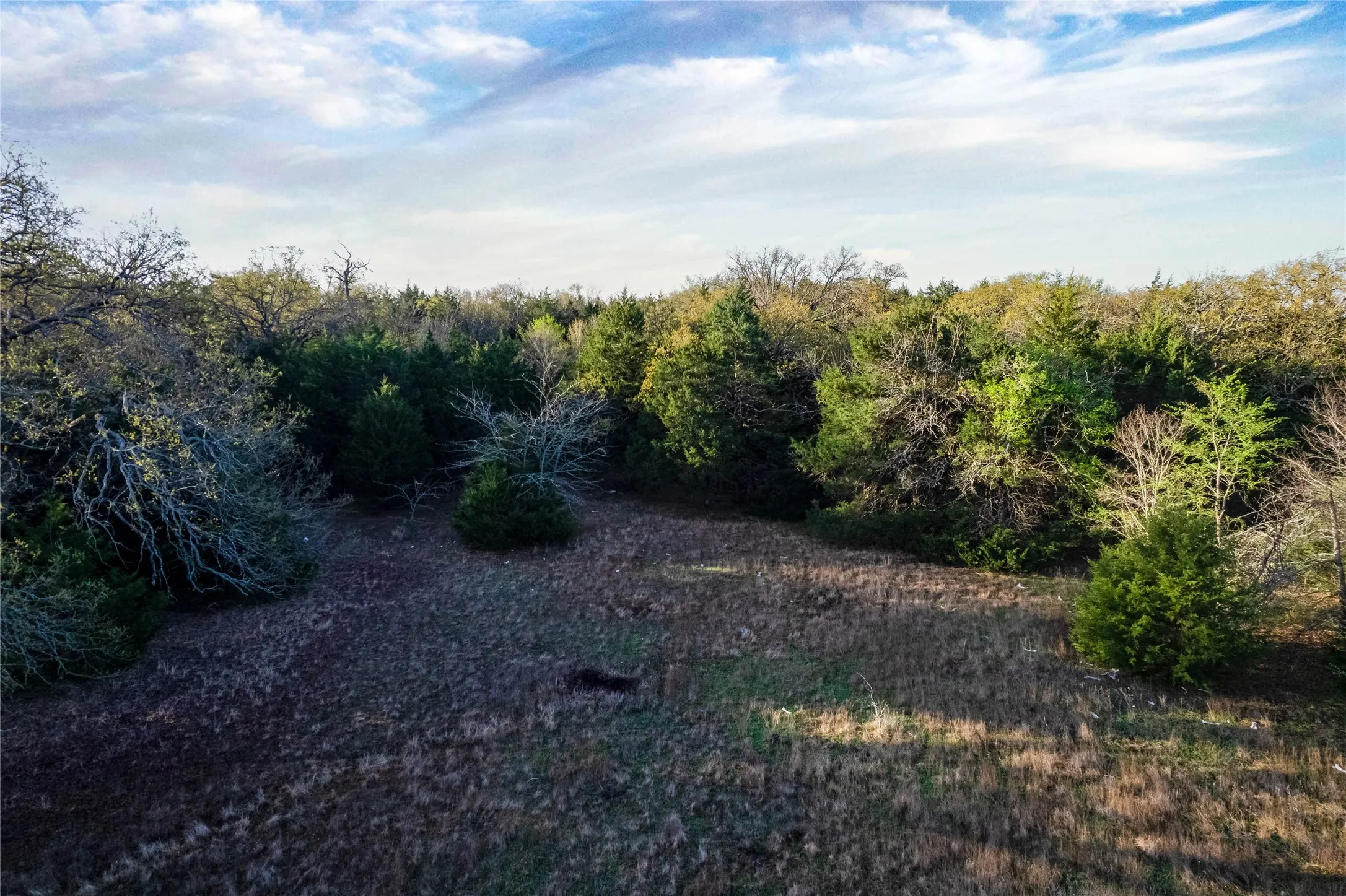 View of nature