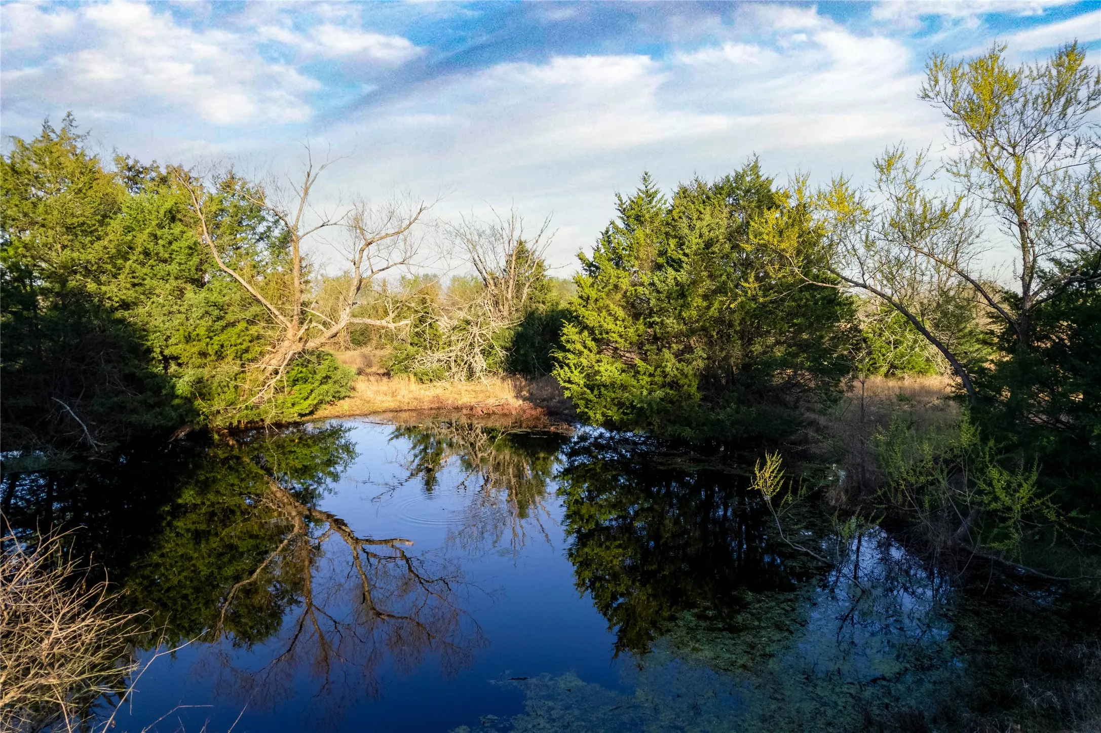 Water view