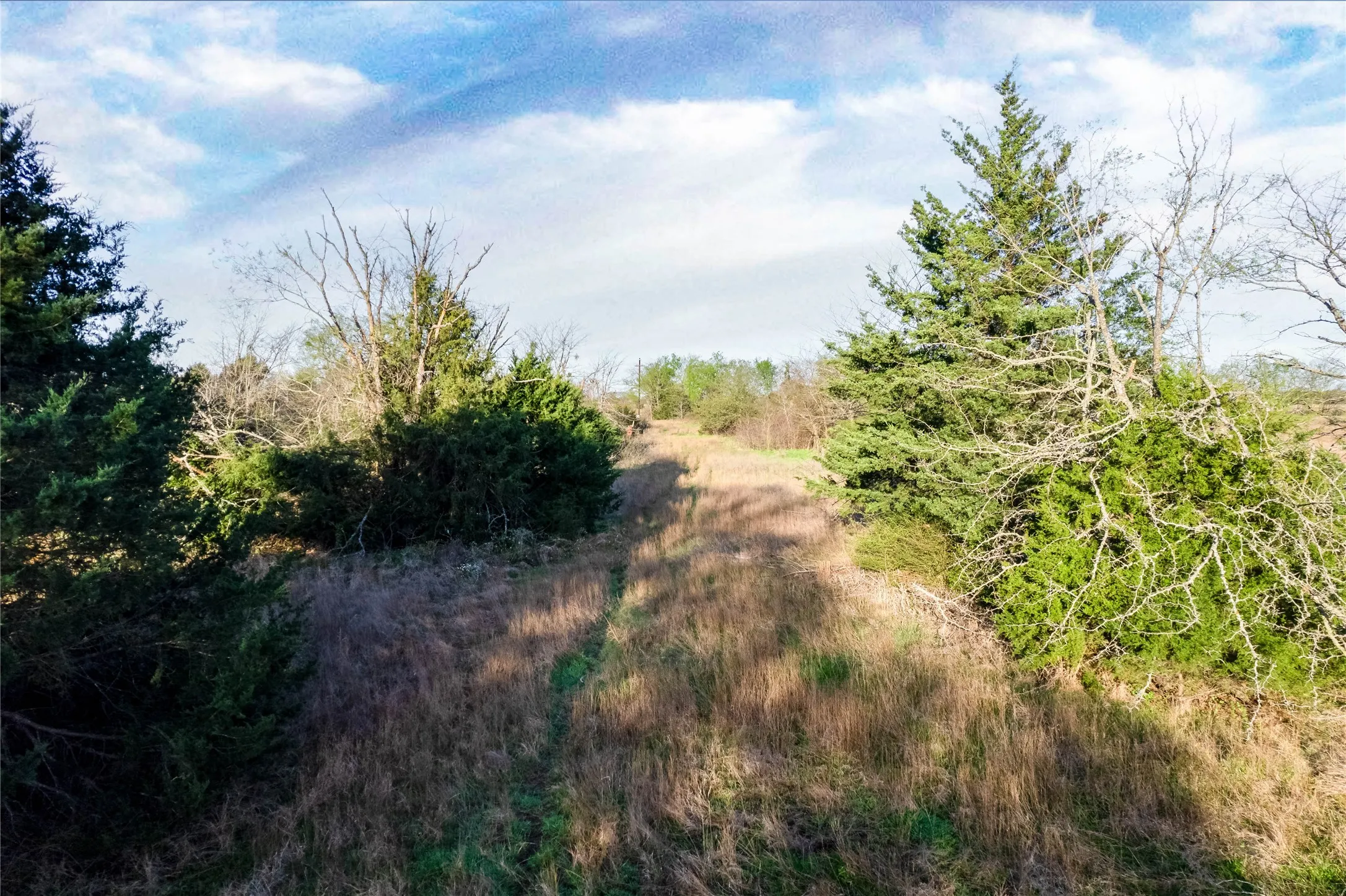View of undeveloped land