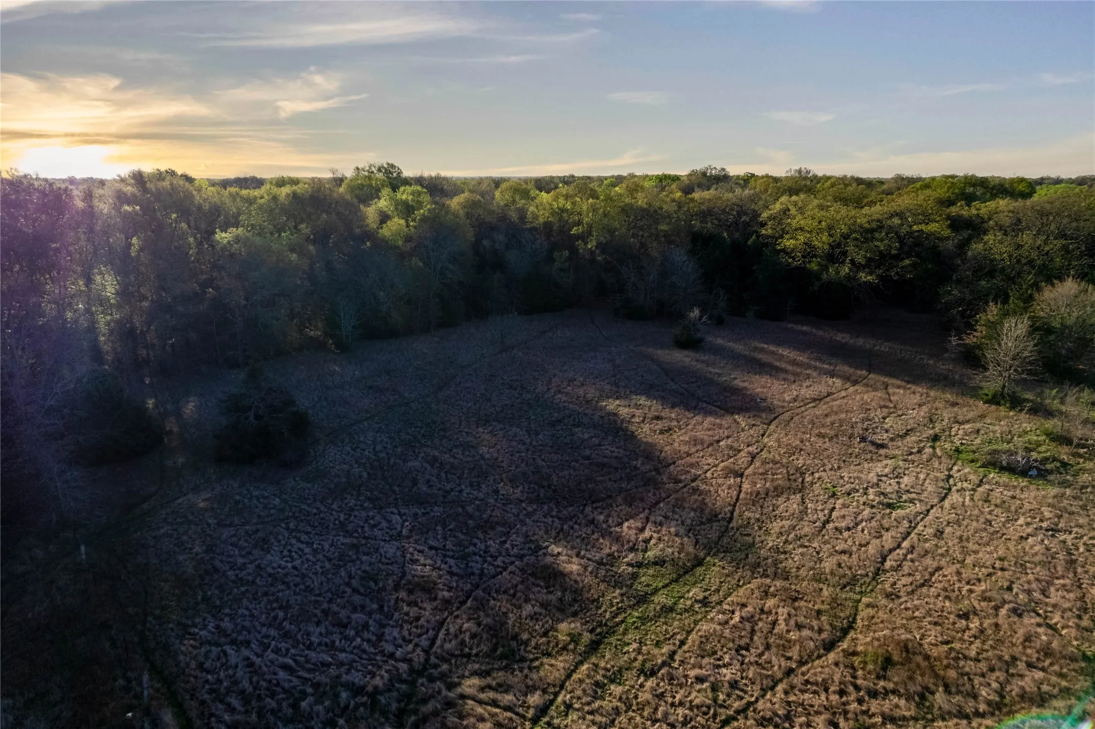 View of local wilderness