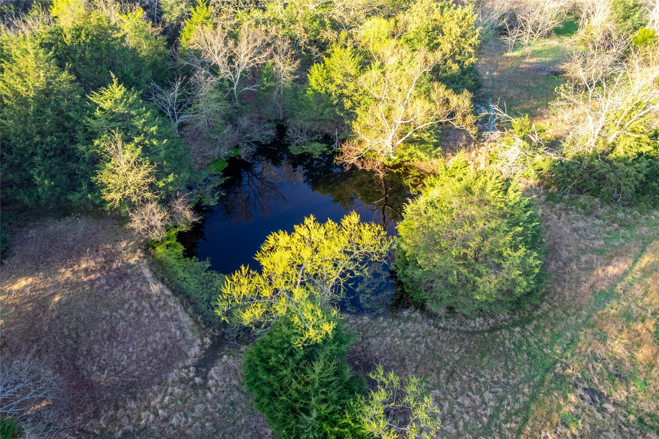 Bird's eye view of a nearby body of water