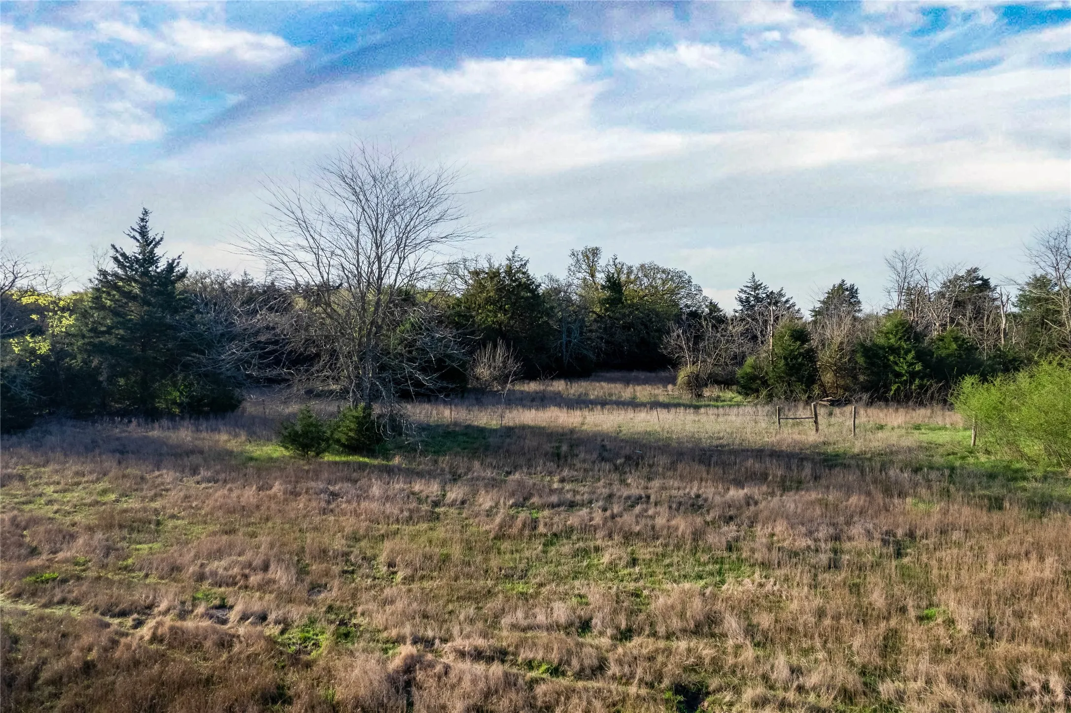 View of local wilderness with rural landscape