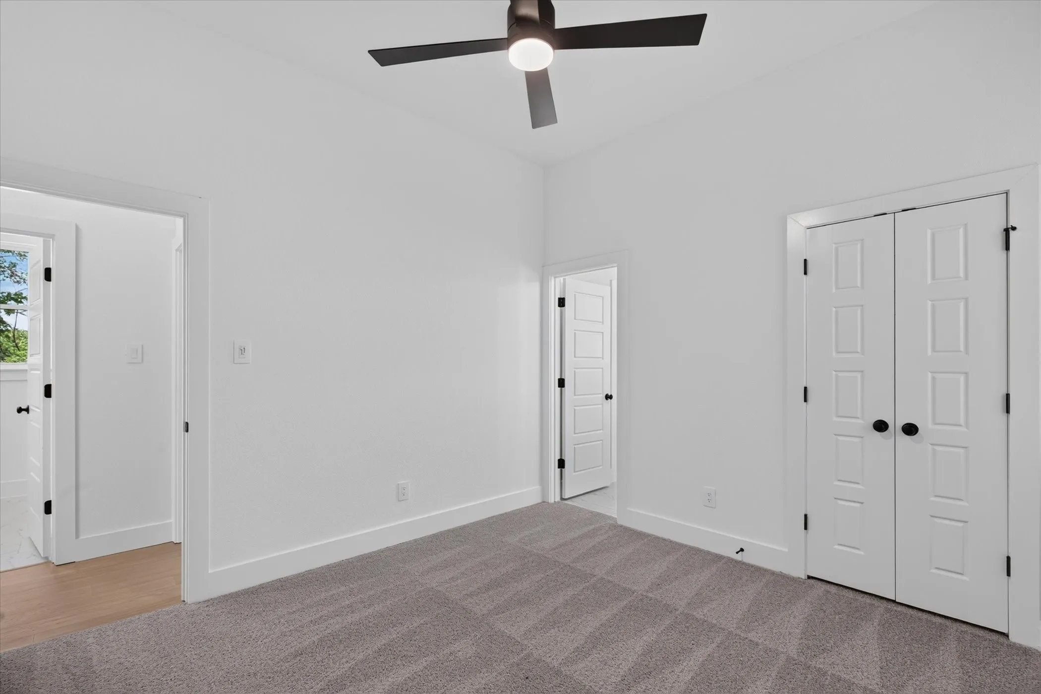 Plush carpet flooring, a modern ceiling fan with integrated lighting, and white bi-fold doors