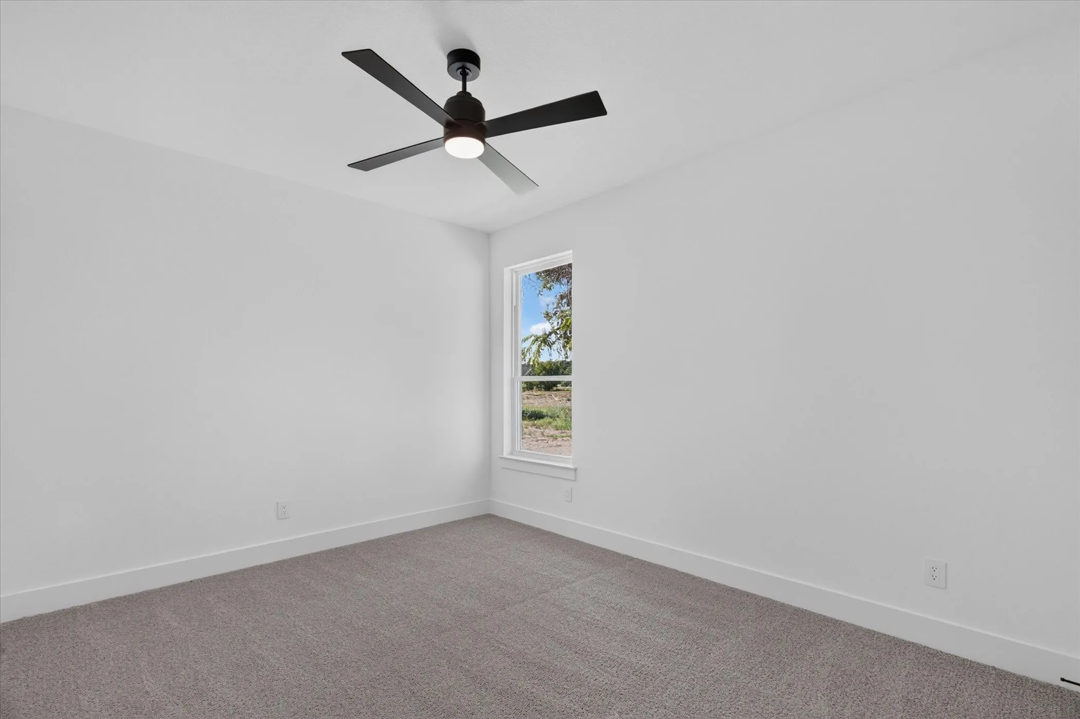 Recessed window with white trim, dark ceiling fan with integrated lighting, and neutral-toned carpeting