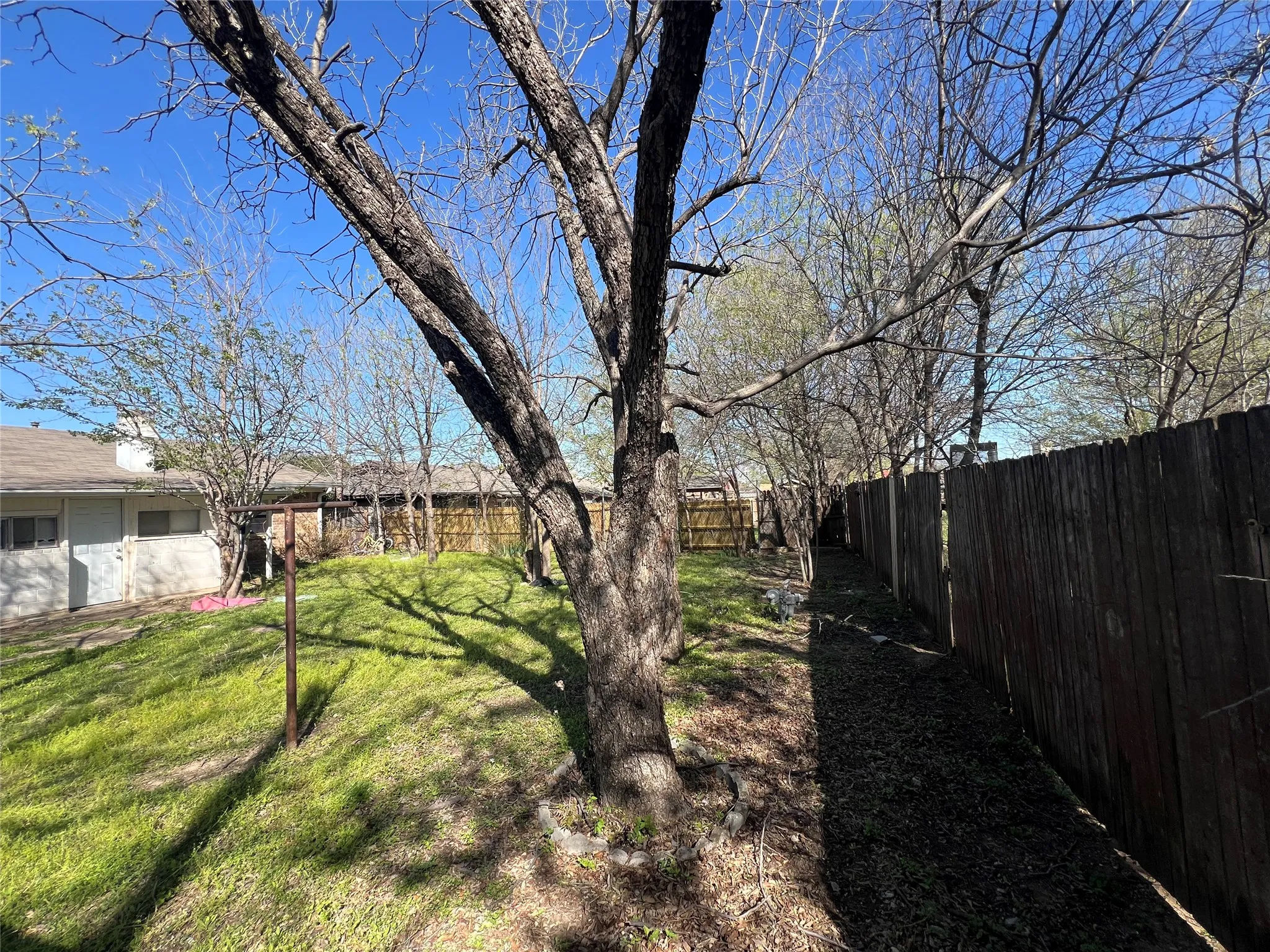 View of fenced backyard