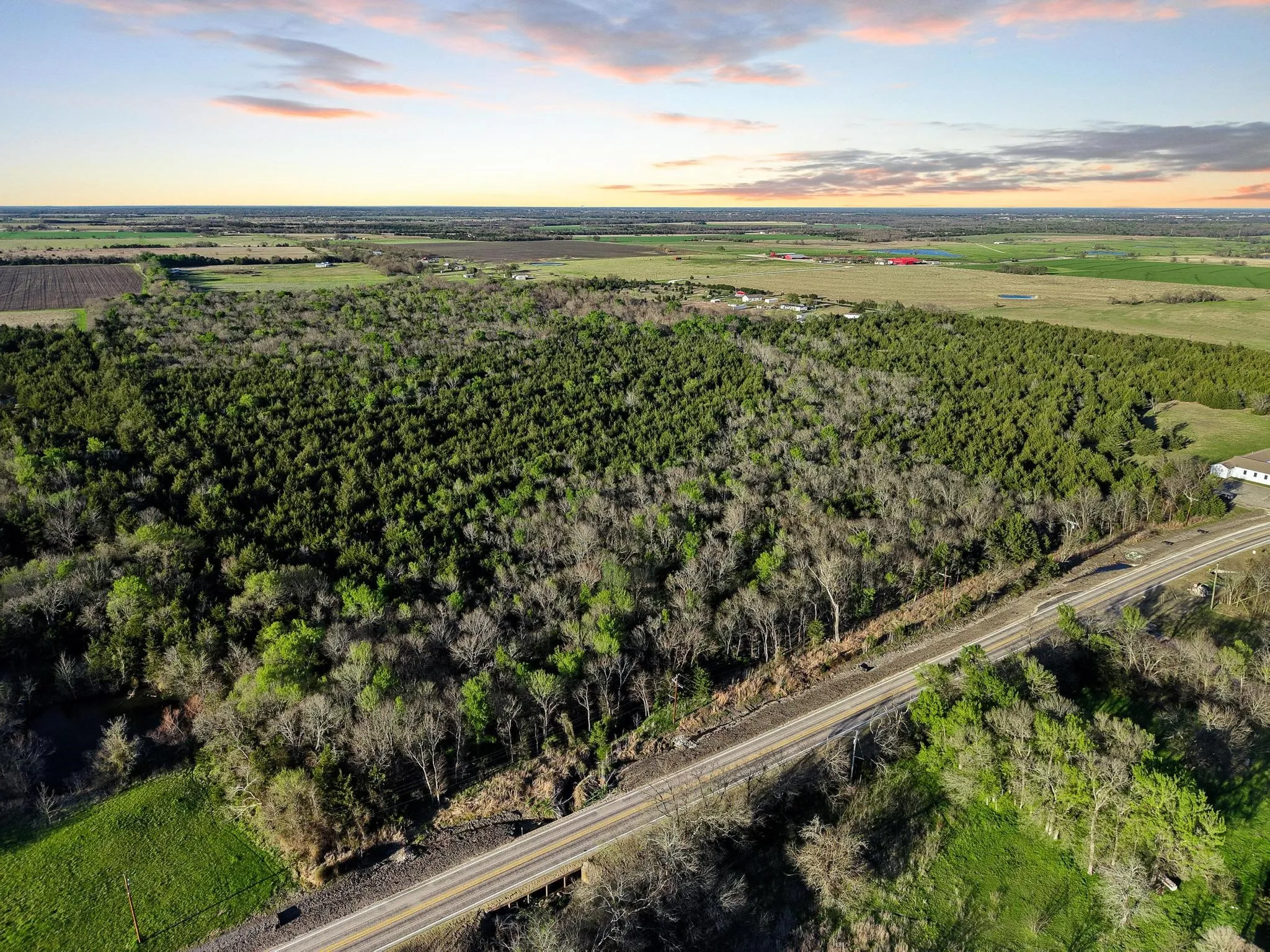 Unimproved Land For Sale in Hunt County , 0000 County Road 4617, Wolfe City, Texas 75496, 0, 0, Garage spaces, 0 Sqft, built in 0, mls#21216491, Real Estate Agent in Wolfe City, Homes For Sale in Hunt county, Homes For Sale in Wolfe City, Realtor in Wolfe City Texas, Real Estate Brokerage Independent Realty Texas, Luminita Cordes Realtor