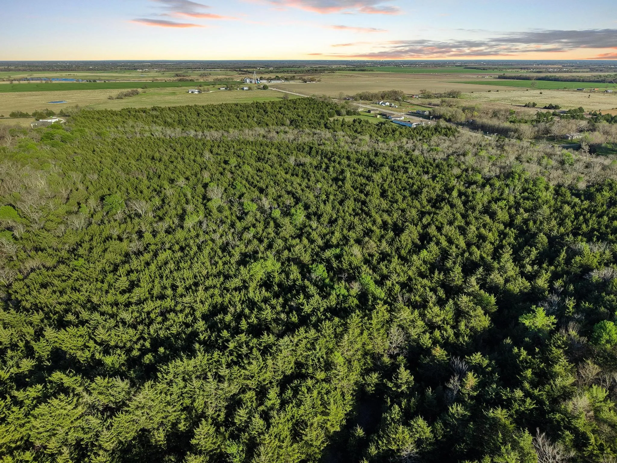 Unimproved Land For Sale in Hunt County , 0000 County Road 4617, Wolfe City, Texas 75496, 0, 0, Garage spaces, 0 Sqft, built in 0, mls#21216491, Real Estate Agent in Wolfe City, Homes For Sale in Hunt county, Homes For Sale in Wolfe City, Realtor in Wolfe City Texas, Real Estate Brokerage Independent Realty Texas, Luminita Cordes Realtor