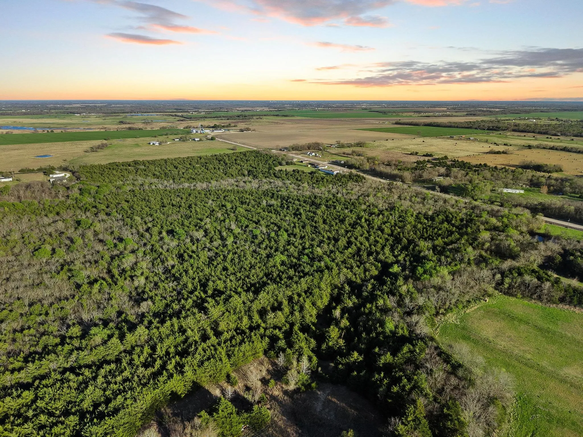 Unimproved Land For Sale in Hunt County , 0000 County Road 4617, Wolfe City, Texas 75496, 0, 0, Garage spaces, 0 Sqft, built in 0, mls#21216491, Real Estate Agent in Wolfe City, Homes For Sale in Hunt county, Homes For Sale in Wolfe City, Realtor in Wolfe City Texas, Real Estate Brokerage Independent Realty Texas, Luminita Cordes Realtor