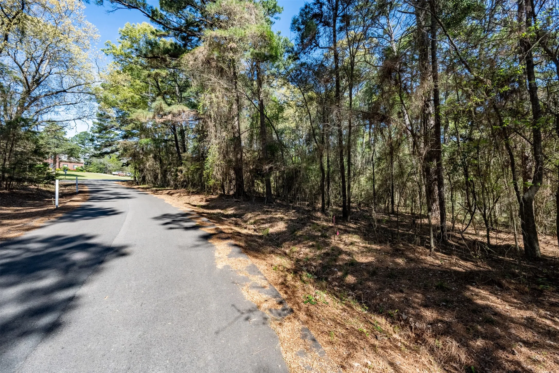Unimproved Land For Sale in Smith County , 18591 Lazy Lane, Flint, Texas 75762, 0, 0, Garage spaces, 0 Sqft, built in 0, mls#21216624, Real Estate Agent in Flint, Homes For Sale in Smith county, Homes For Sale in Flint, Realtor in Flint Texas, Real Estate Brokerage Independent Realty Texas, Luminita Cordes Realtor