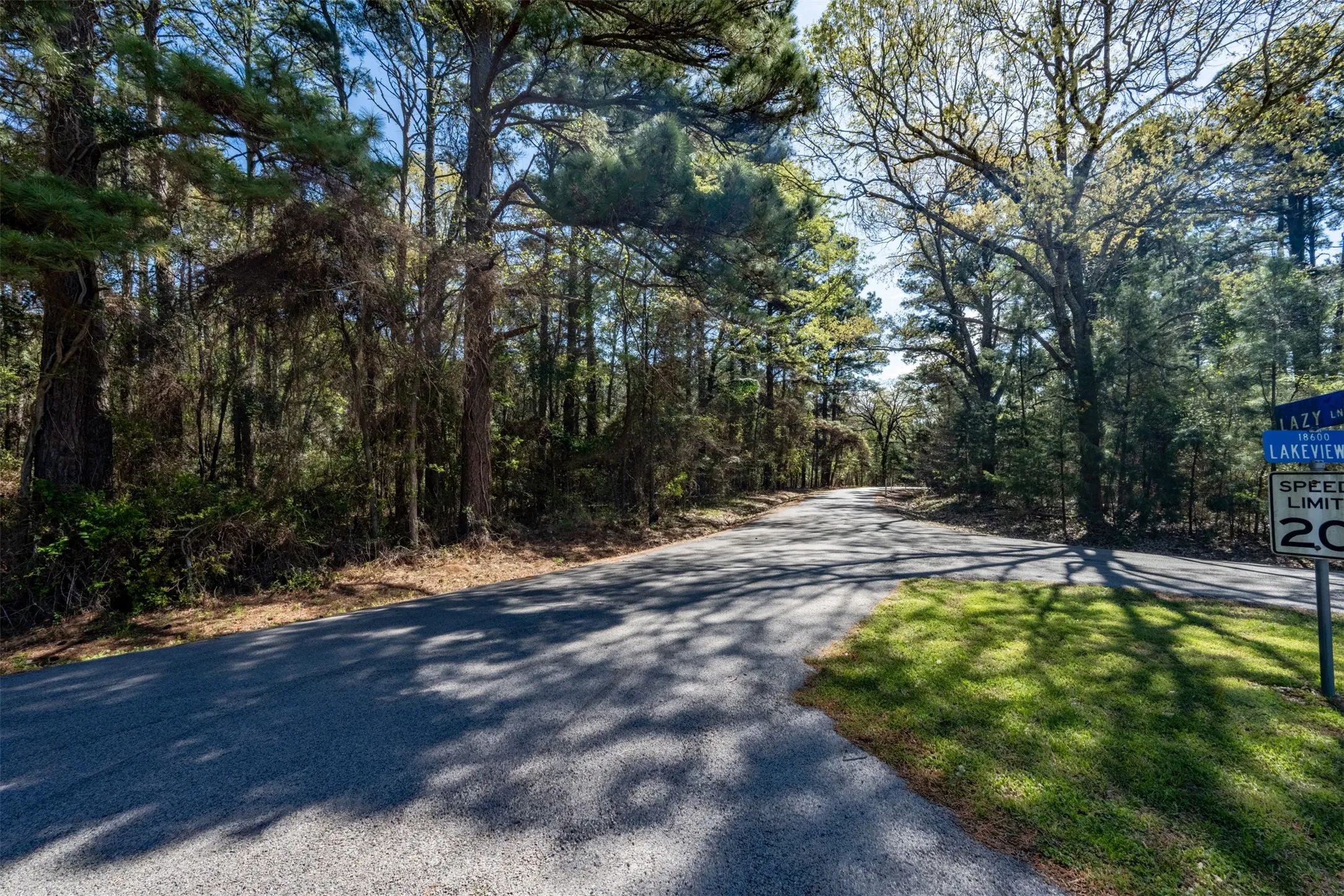 Unimproved Land For Sale in Smith County , 18591 Lazy Lane, Flint, Texas 75762, 0, 0, Garage spaces, 0 Sqft, built in 0, mls#21216624, Real Estate Agent in Flint, Homes For Sale in Smith county, Homes For Sale in Flint, Realtor in Flint Texas, Real Estate Brokerage Independent Realty Texas, Luminita Cordes Realtor