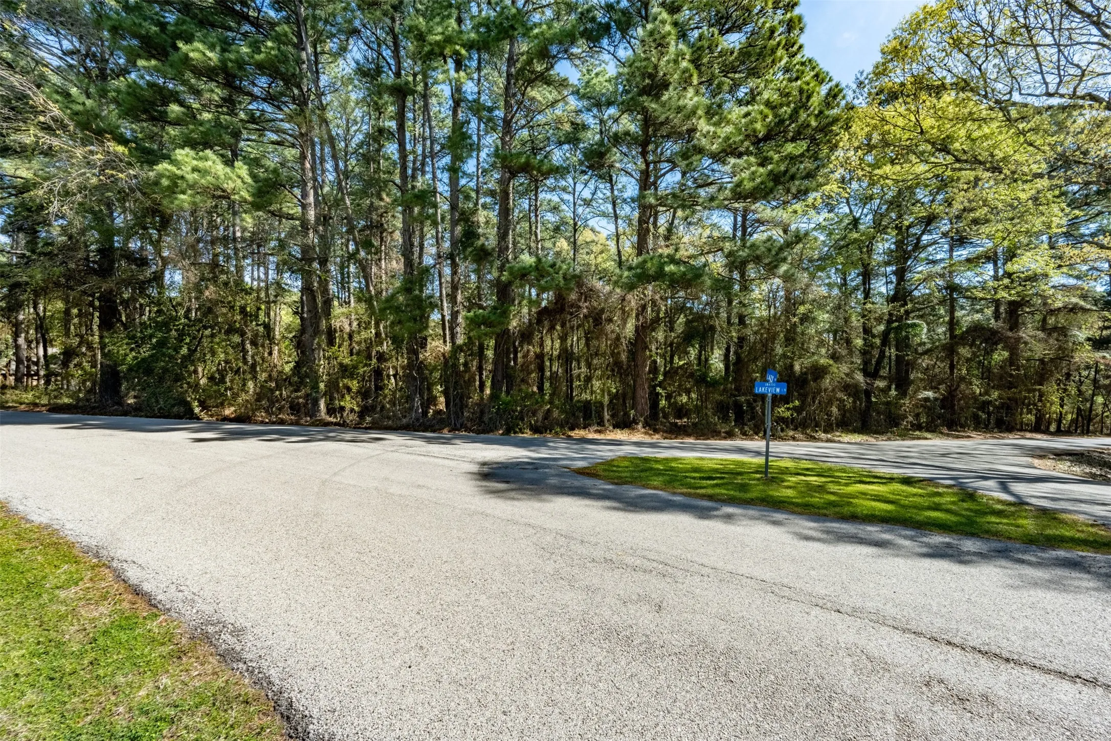 Unimproved Land For Sale in Smith County , 18591 Lazy Lane, Flint, Texas 75762, 0, 0, Garage spaces, 0 Sqft, built in 0, mls#21216624, Real Estate Agent in Flint, Homes For Sale in Smith county, Homes For Sale in Flint, Realtor in Flint Texas, Real Estate Brokerage Independent Realty Texas, Luminita Cordes Realtor