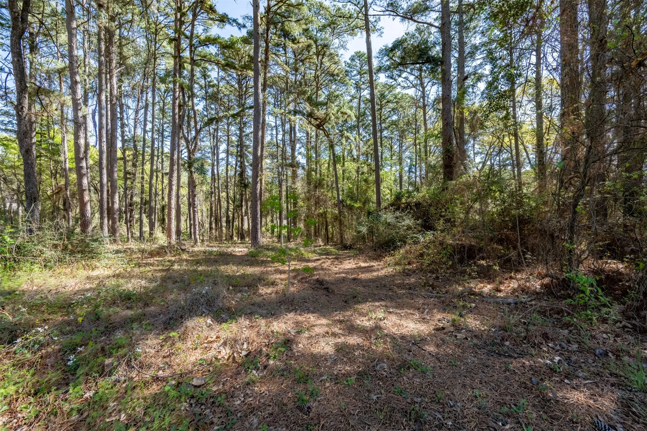 Unimproved Land For Sale in Smith County , 18591 Lazy Lane, Flint, Texas 75762, 0, 0, Garage spaces, 0 Sqft, built in 0, mls#21216624, Real Estate Agent in Flint, Homes For Sale in Smith county, Homes For Sale in Flint, Realtor in Flint Texas, Real Estate Brokerage Independent Realty Texas, Luminita Cordes Realtor