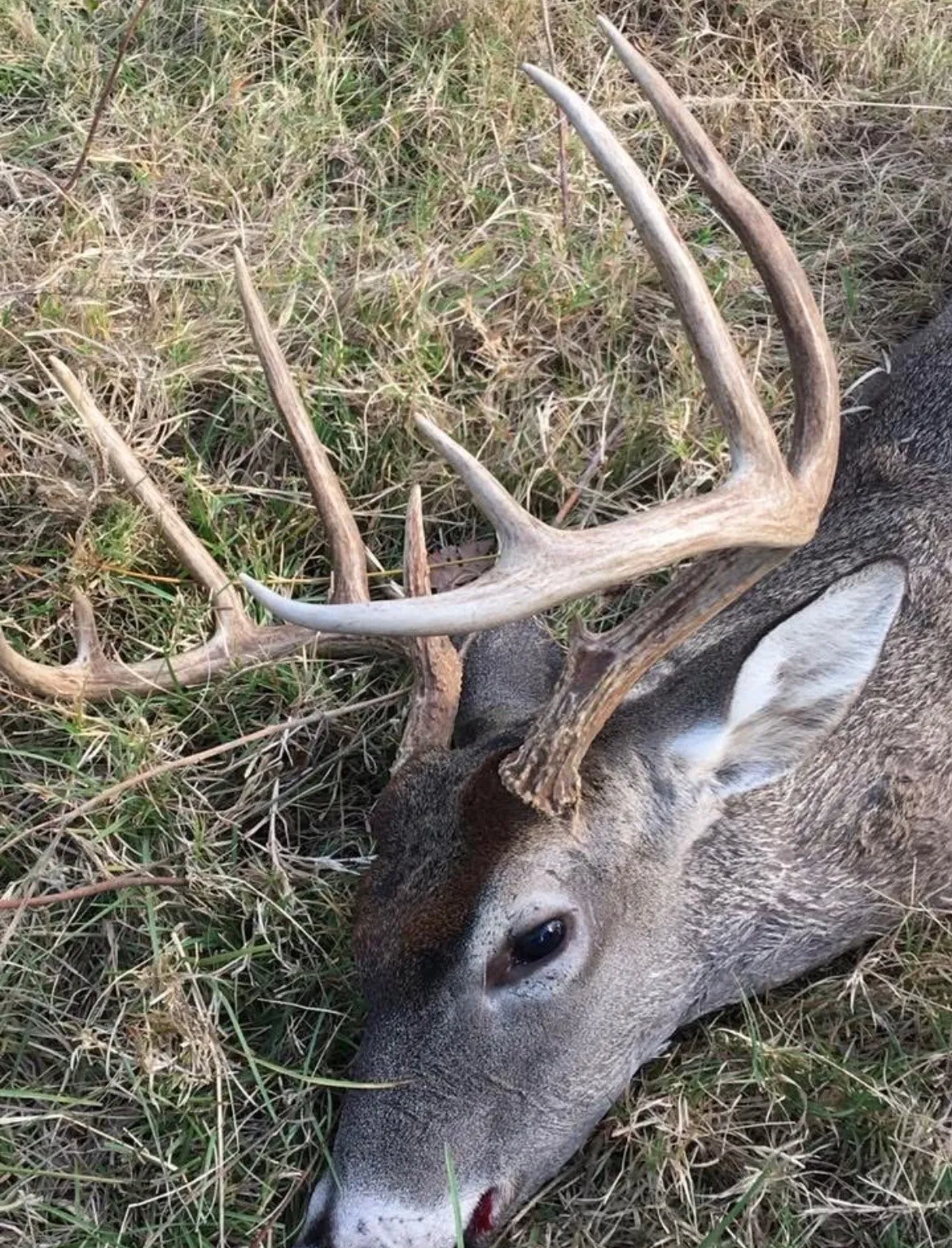 Unimproved Land For Sale in Kaufman County , 0 Co Rd 4031, Kemp, Texas 75143, 0, 0, Garage spaces, 0 Sqft, built in 0, mls#21216792, Real Estate Agent in Kemp, Homes For Sale in Kaufman county, Homes For Sale in Kemp, Realtor in Kemp Texas, Real Estate Brokerage Independent Realty Texas, Luminita Cordes Realtor