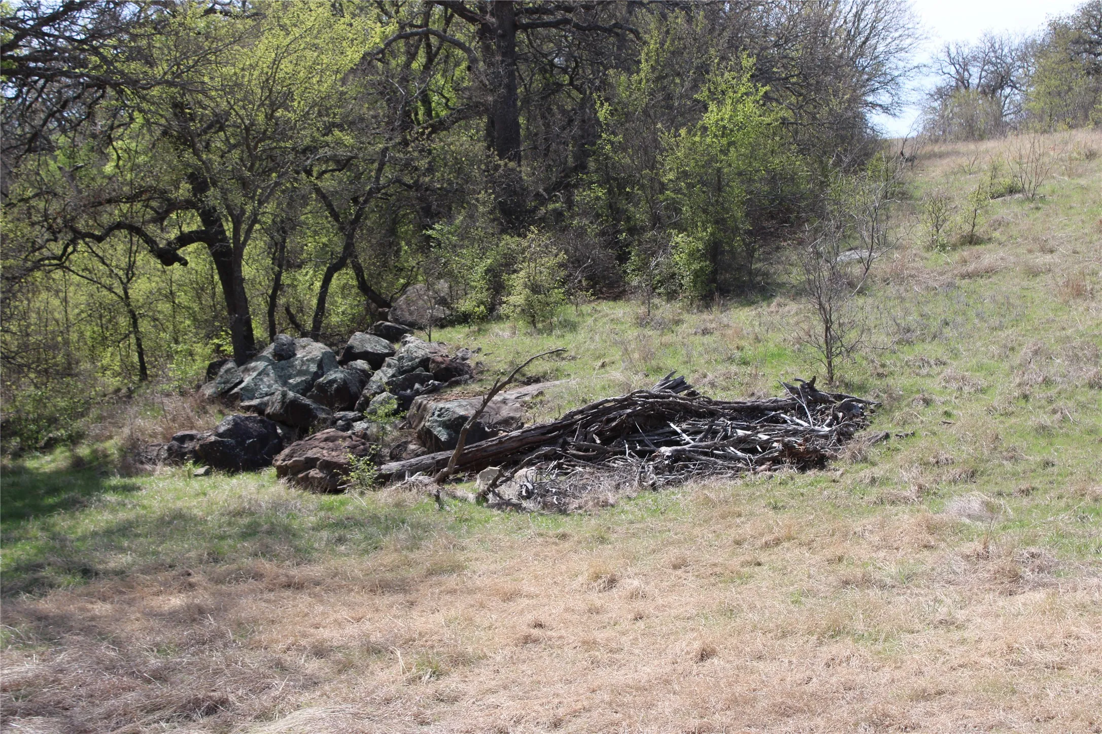 Unimproved Land For Sale in Jack County , 21 AC Erwin, Perrin, Texas 78486, 0, 0, Garage spaces, 0 Sqft, built in 0, mls#21216986, Real Estate Agent in Perrin, Homes For Sale in Jack county, Homes For Sale in Perrin, Realtor in Perrin Texas, Real Estate Brokerage Independent Realty Texas, Luminita Cordes Realtor