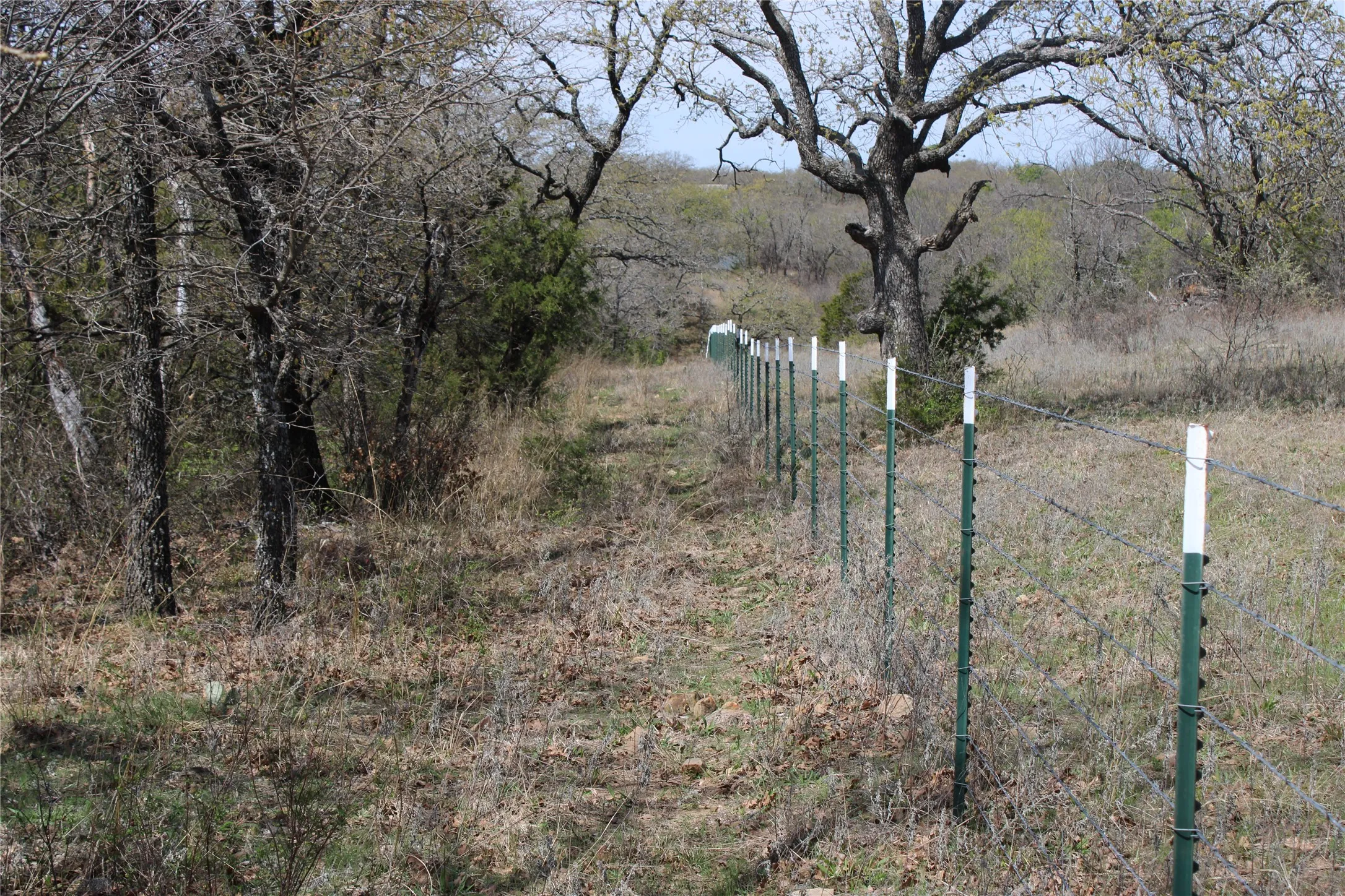 Unimproved Land For Sale in Jack County , 21 AC Erwin, Perrin, Texas 78486, 0, 0, Garage spaces, 0 Sqft, built in 0, mls#21216986, Real Estate Agent in Perrin, Homes For Sale in Jack county, Homes For Sale in Perrin, Realtor in Perrin Texas, Real Estate Brokerage Independent Realty Texas, Luminita Cordes Realtor