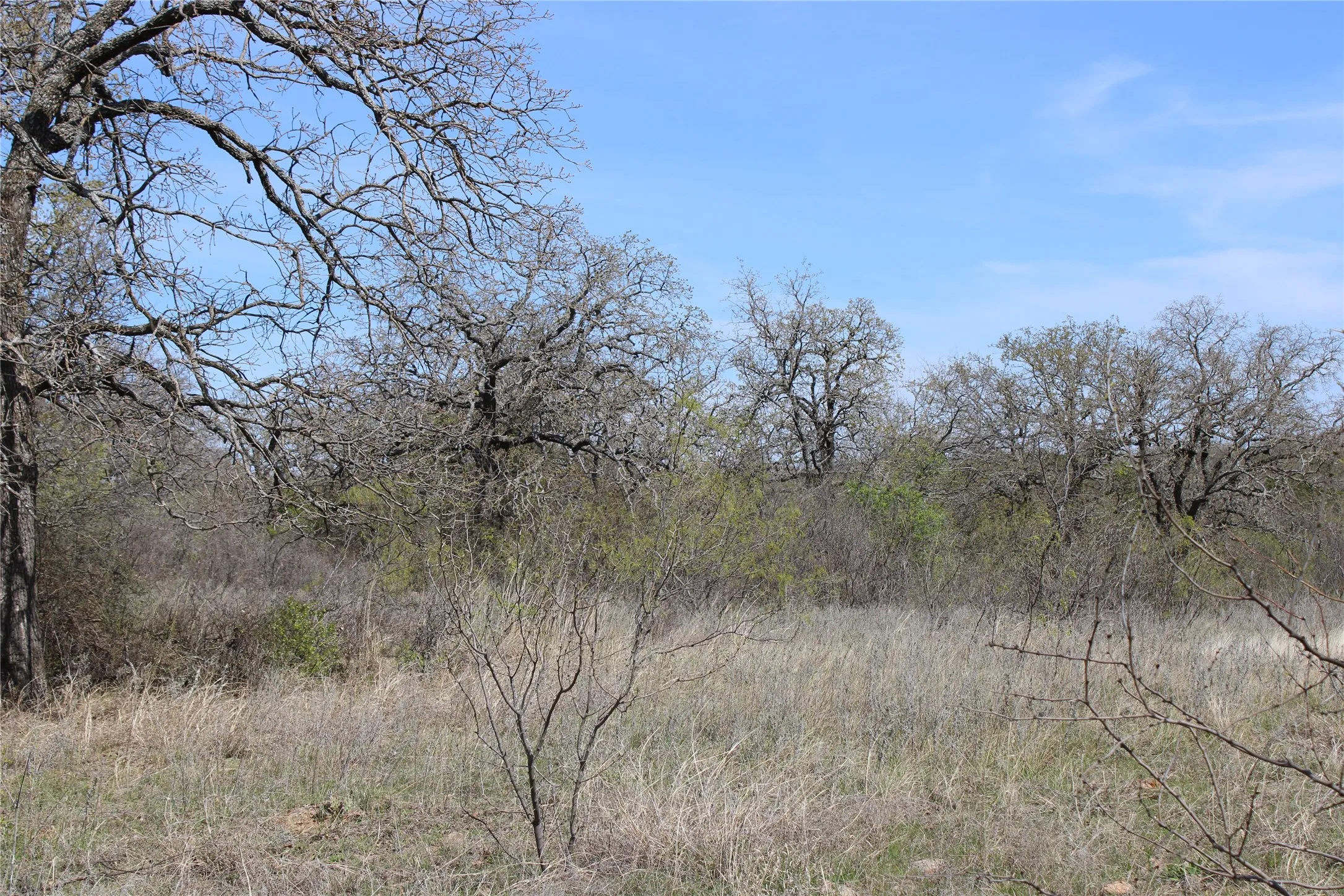 Unimproved Land For Sale in Jack County , 21 AC Erwin, Perrin, Texas 78486, 0, 0, Garage spaces, 0 Sqft, built in 0, mls#21216986, Real Estate Agent in Perrin, Homes For Sale in Jack county, Homes For Sale in Perrin, Realtor in Perrin Texas, Real Estate Brokerage Independent Realty Texas, Luminita Cordes Realtor