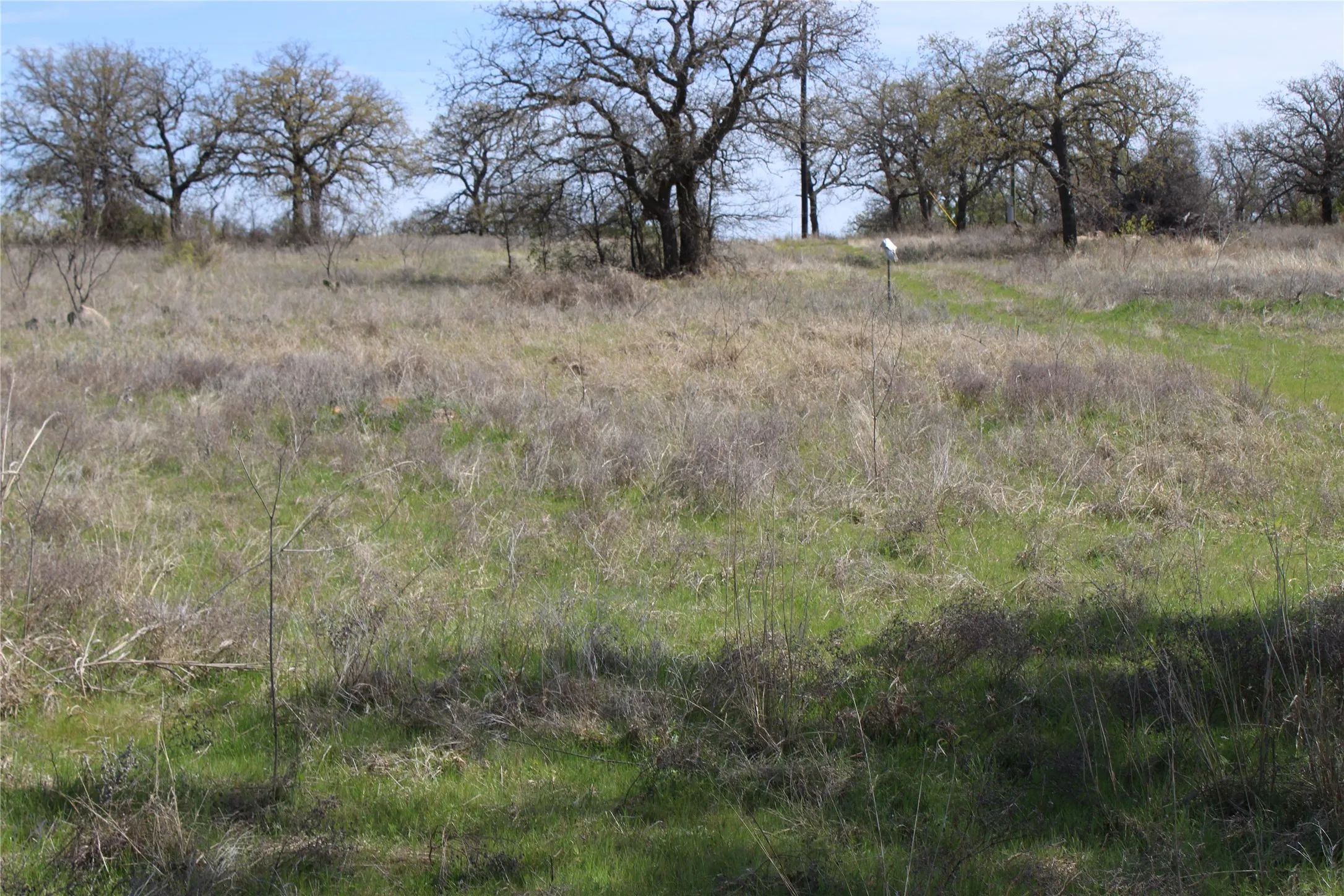 Unimproved Land For Sale in Jack County , 21 AC Erwin, Perrin, Texas 78486, 0, 0, Garage spaces, 0 Sqft, built in 0, mls#21216986, Real Estate Agent in Perrin, Homes For Sale in Jack county, Homes For Sale in Perrin, Realtor in Perrin Texas, Real Estate Brokerage Independent Realty Texas, Luminita Cordes Realtor