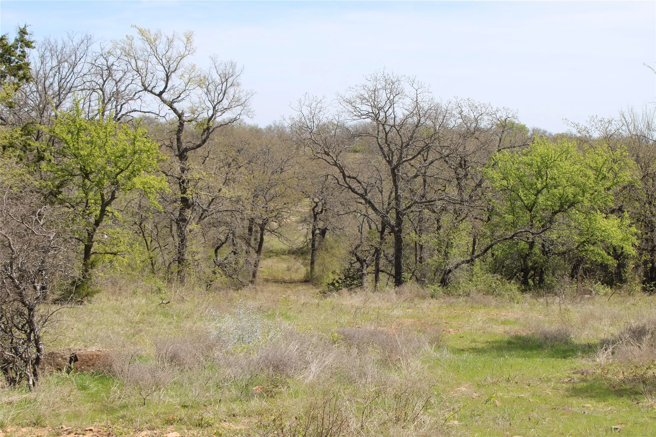 Unimproved Land For Sale in Jack County , 21 AC Erwin, Perrin, Texas 78486, 0, 0, Garage spaces, 0 Sqft, built in 0, mls#21216986, Real Estate Agent in Perrin, Homes For Sale in Jack county, Homes For Sale in Perrin, Realtor in Perrin Texas, Real Estate Brokerage Independent Realty Texas, Luminita Cordes Realtor