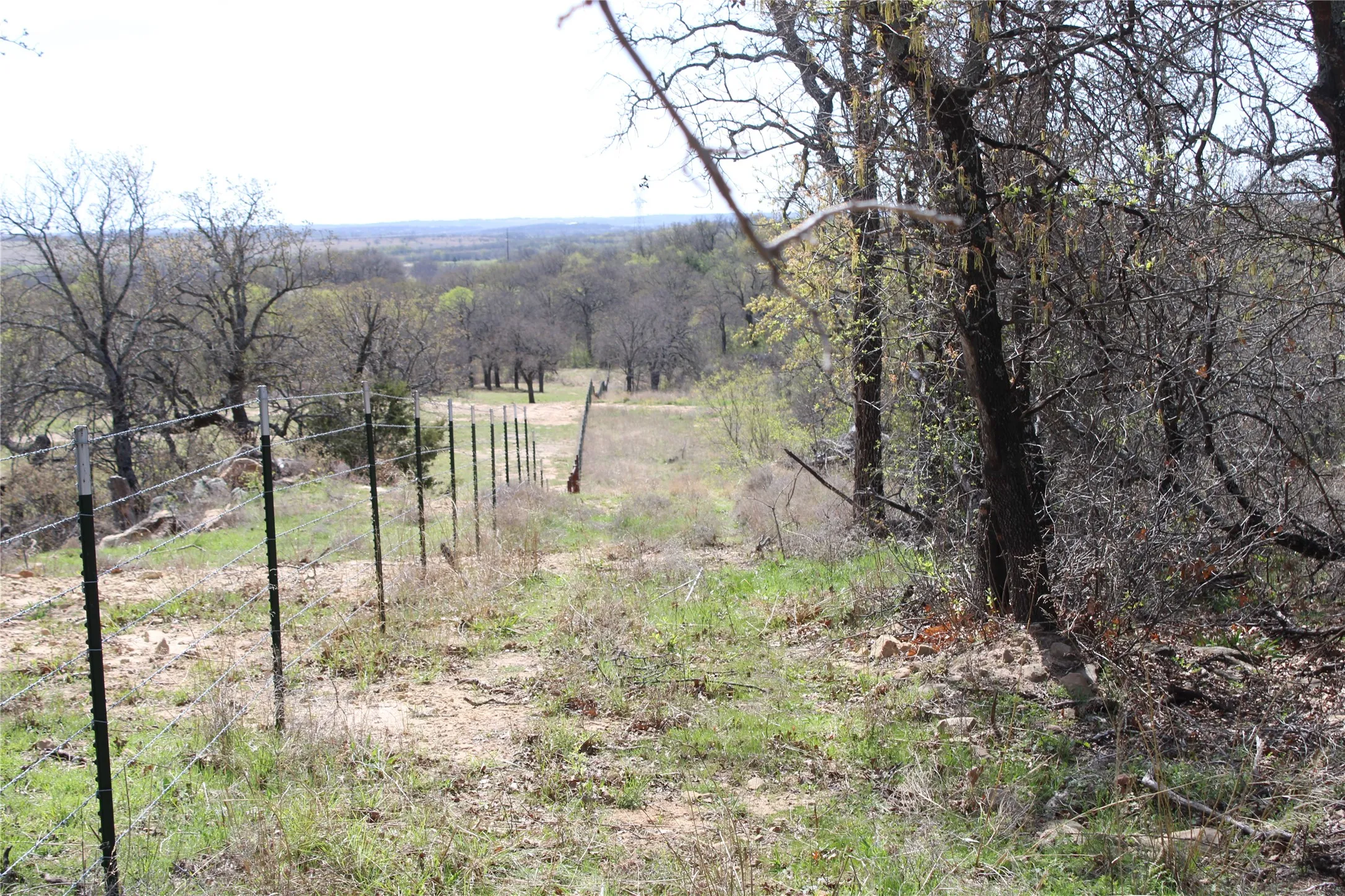 Unimproved Land For Sale in Jack County , 21 AC Erwin, Perrin, Texas 78486, 0, 0, Garage spaces, 0 Sqft, built in 0, mls#21216986, Real Estate Agent in Perrin, Homes For Sale in Jack county, Homes For Sale in Perrin, Realtor in Perrin Texas, Real Estate Brokerage Independent Realty Texas, Luminita Cordes Realtor