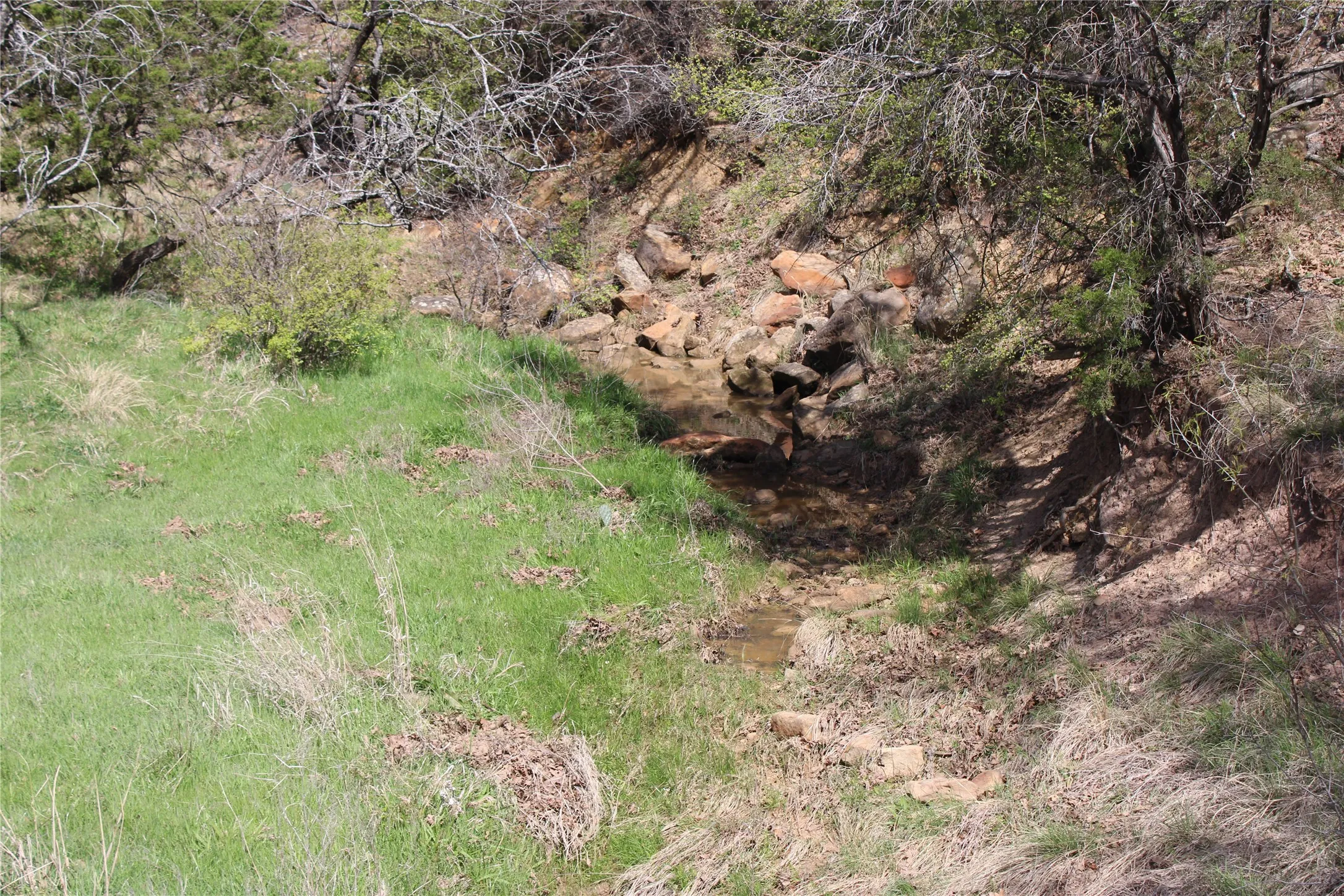 Unimproved Land For Sale in Jack County , 21 AC Erwin, Perrin, Texas 78486, 0, 0, Garage spaces, 0 Sqft, built in 0, mls#21216986, Real Estate Agent in Perrin, Homes For Sale in Jack county, Homes For Sale in Perrin, Realtor in Perrin Texas, Real Estate Brokerage Independent Realty Texas, Luminita Cordes Realtor