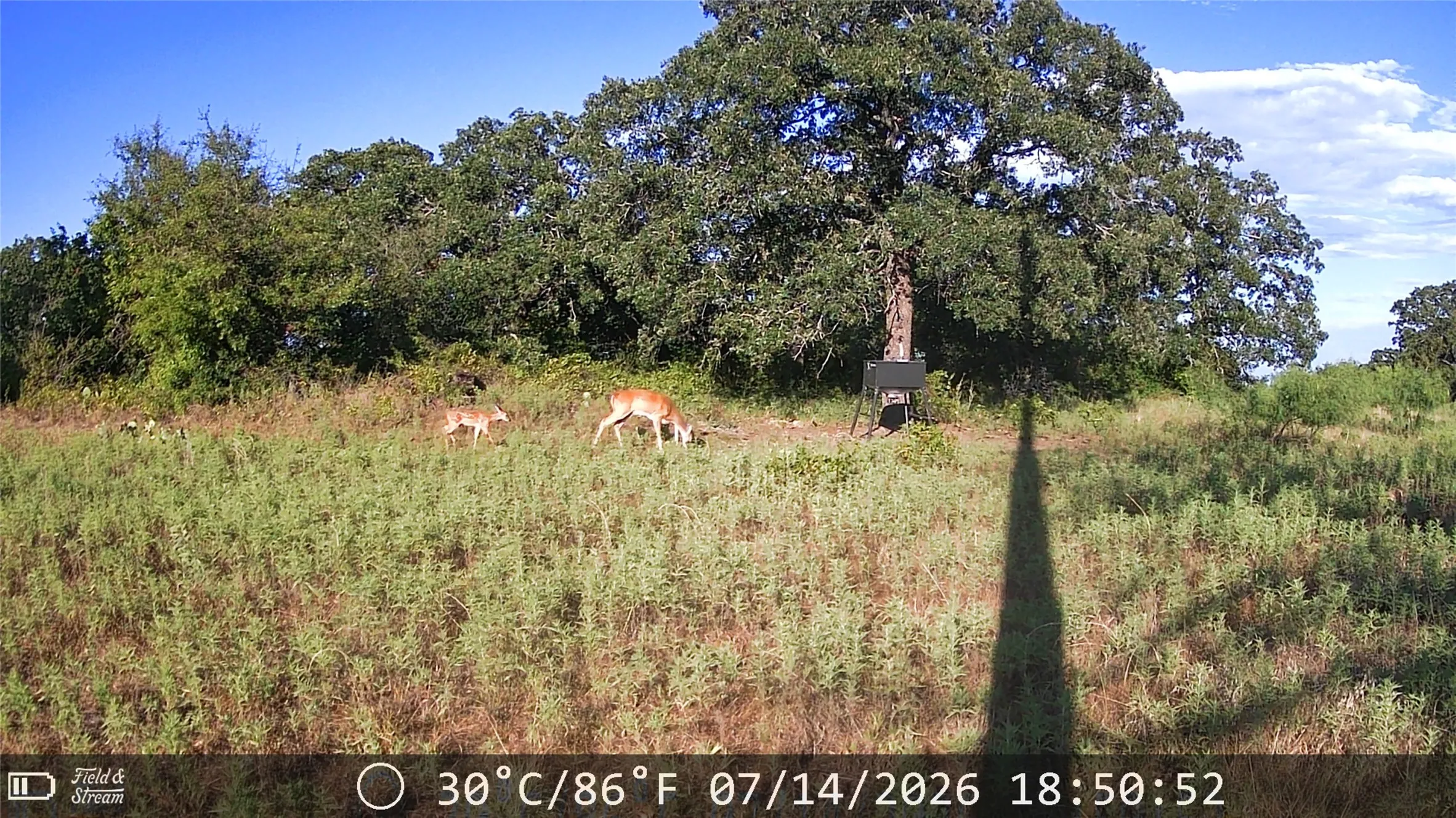 Unimproved Land For Sale in Jack County , 21 AC Erwin, Perrin, Texas 78486, 0, 0, Garage spaces, 0 Sqft, built in 0, mls#21216986, Real Estate Agent in Perrin, Homes For Sale in Jack county, Homes For Sale in Perrin, Realtor in Perrin Texas, Real Estate Brokerage Independent Realty Texas, Luminita Cordes Realtor