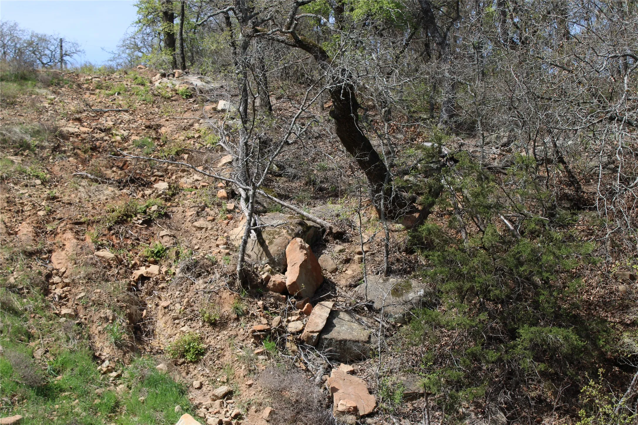 Unimproved Land For Sale in Jack County , 21 AC Erwin, Perrin, Texas 78486, 0, 0, Garage spaces, 0 Sqft, built in 0, mls#21216986, Real Estate Agent in Perrin, Homes For Sale in Jack county, Homes For Sale in Perrin, Realtor in Perrin Texas, Real Estate Brokerage Independent Realty Texas, Luminita Cordes Realtor