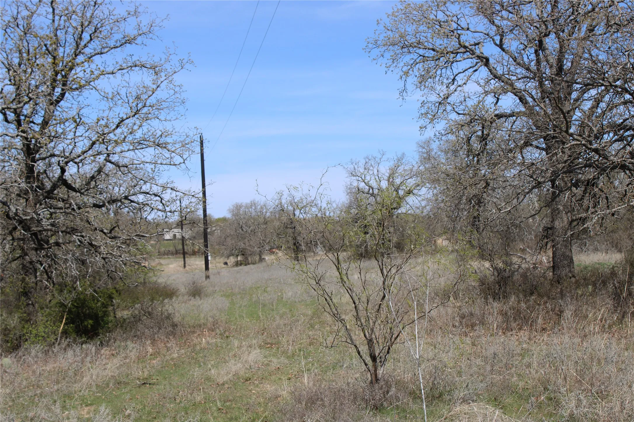 Unimproved Land For Sale in Jack County , 21 AC Erwin, Perrin, Texas 78486, 0, 0, Garage spaces, 0 Sqft, built in 0, mls#21216986, Real Estate Agent in Perrin, Homes For Sale in Jack county, Homes For Sale in Perrin, Realtor in Perrin Texas, Real Estate Brokerage Independent Realty Texas, Luminita Cordes Realtor