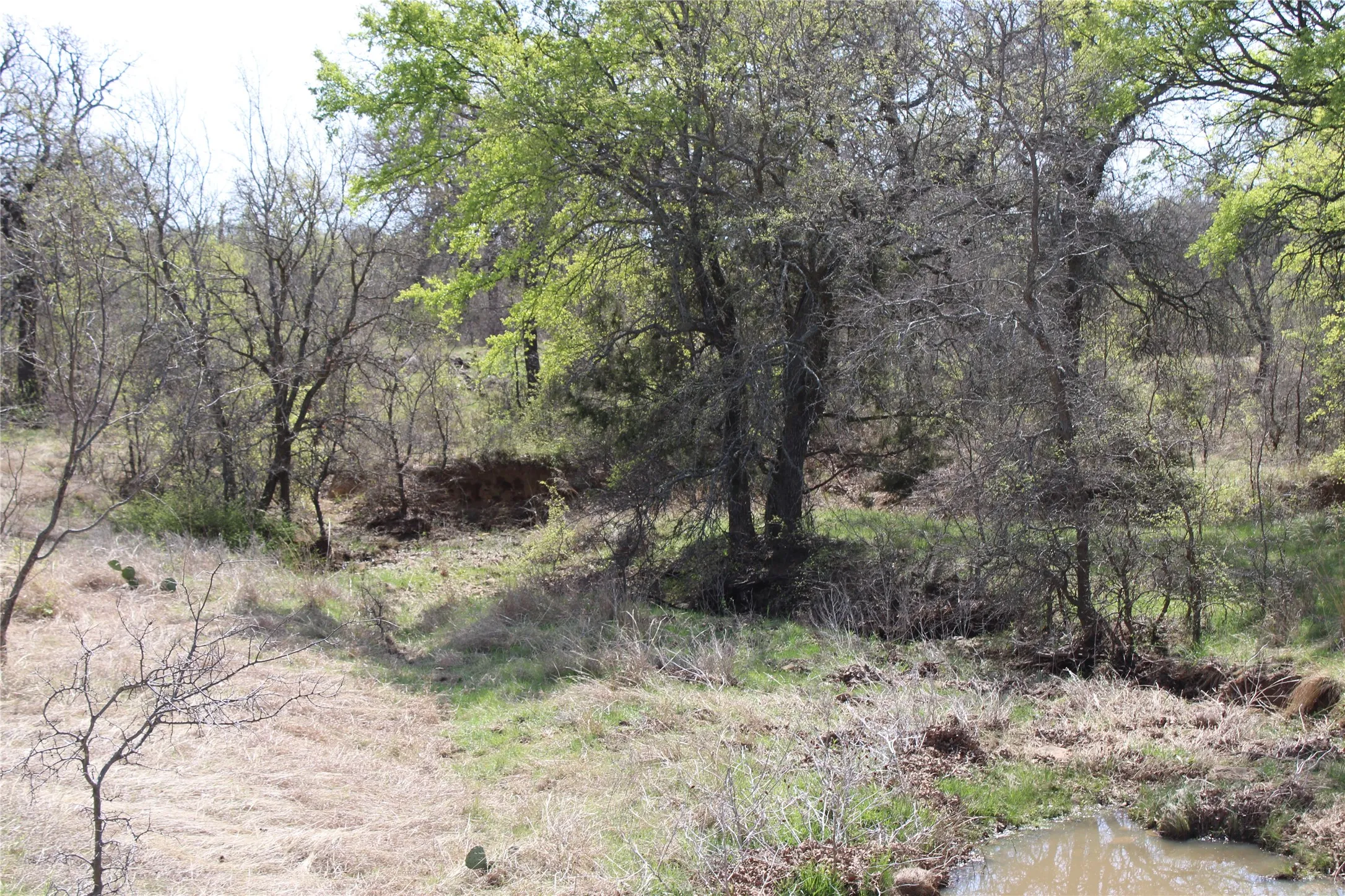 Unimproved Land For Sale in Jack County , 21 AC Erwin, Perrin, Texas 78486, 0, 0, Garage spaces, 0 Sqft, built in 0, mls#21216986, Real Estate Agent in Perrin, Homes For Sale in Jack county, Homes For Sale in Perrin, Realtor in Perrin Texas, Real Estate Brokerage Independent Realty Texas, Luminita Cordes Realtor