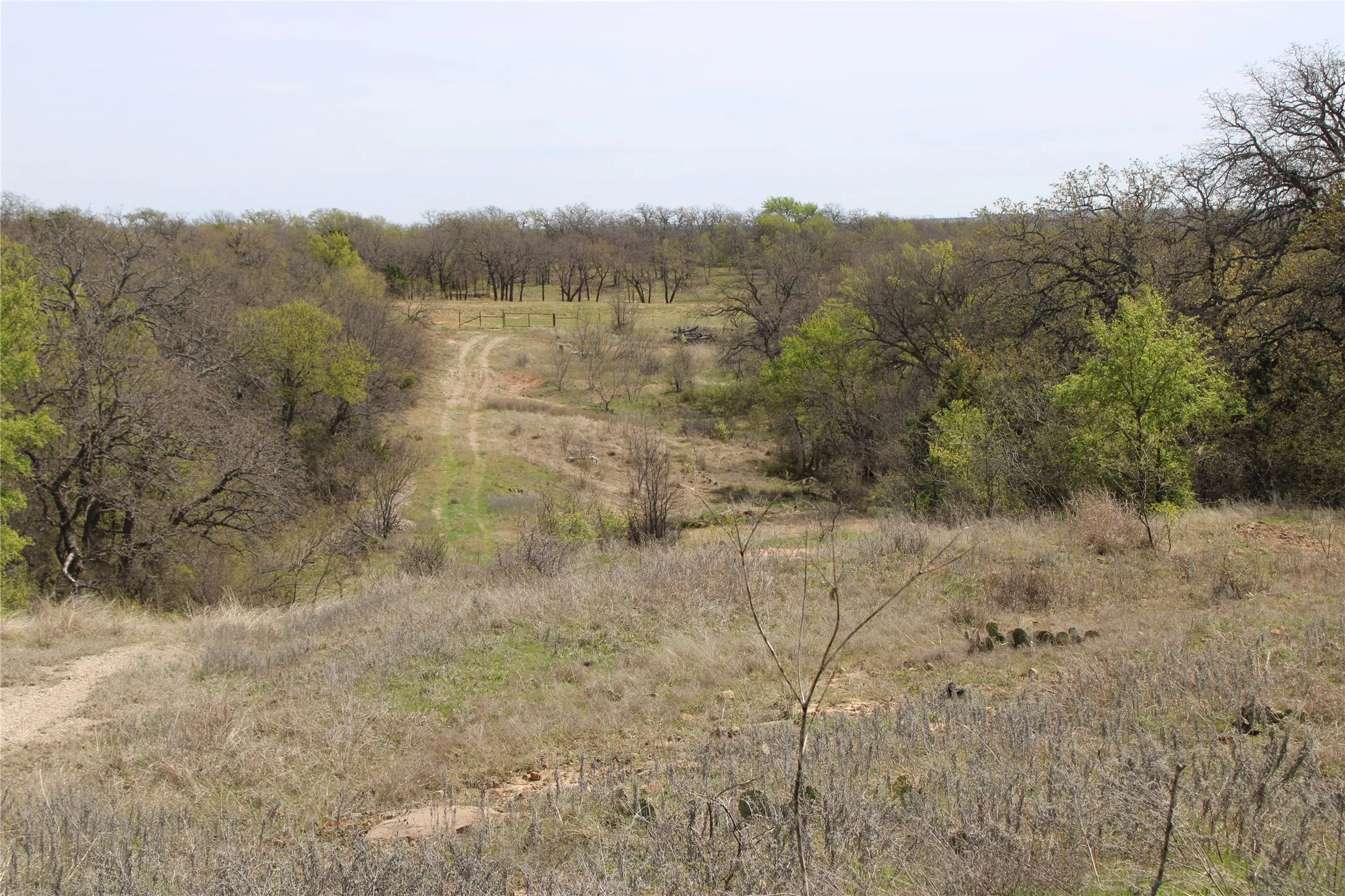 Unimproved Land For Sale in Jack County , 21 AC Erwin, Perrin, Texas 78486, 0, 0, Garage spaces, 0 Sqft, built in 0, mls#21216986, Real Estate Agent in Perrin, Homes For Sale in Jack county, Homes For Sale in Perrin, Realtor in Perrin Texas, Real Estate Brokerage Independent Realty Texas, Luminita Cordes Realtor