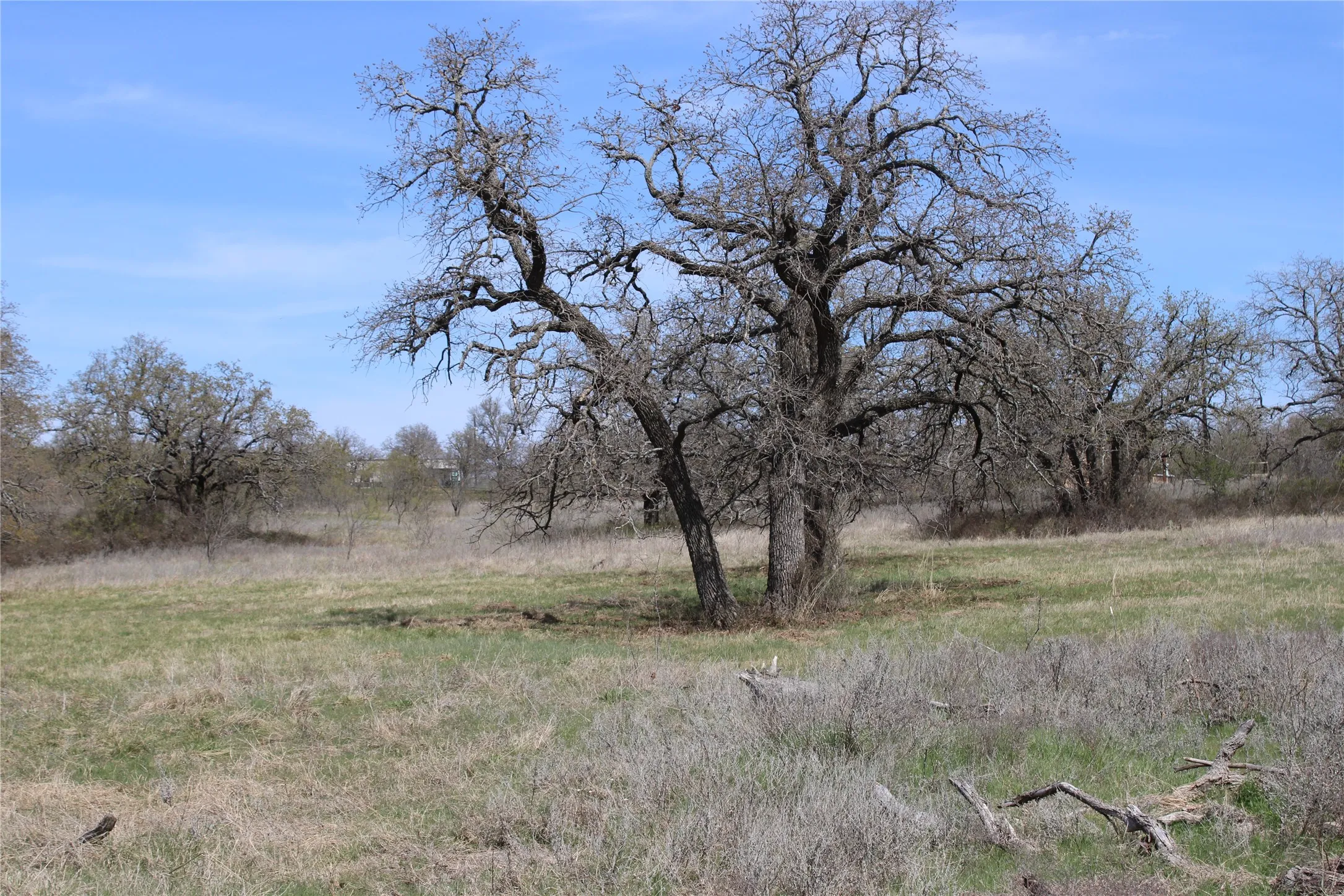 Unimproved Land For Sale in Jack County , 21 AC Erwin, Perrin, Texas 78486, 0, 0, Garage spaces, 0 Sqft, built in 0, mls#21216986, Real Estate Agent in Perrin, Homes For Sale in Jack county, Homes For Sale in Perrin, Realtor in Perrin Texas, Real Estate Brokerage Independent Realty Texas, Luminita Cordes Realtor