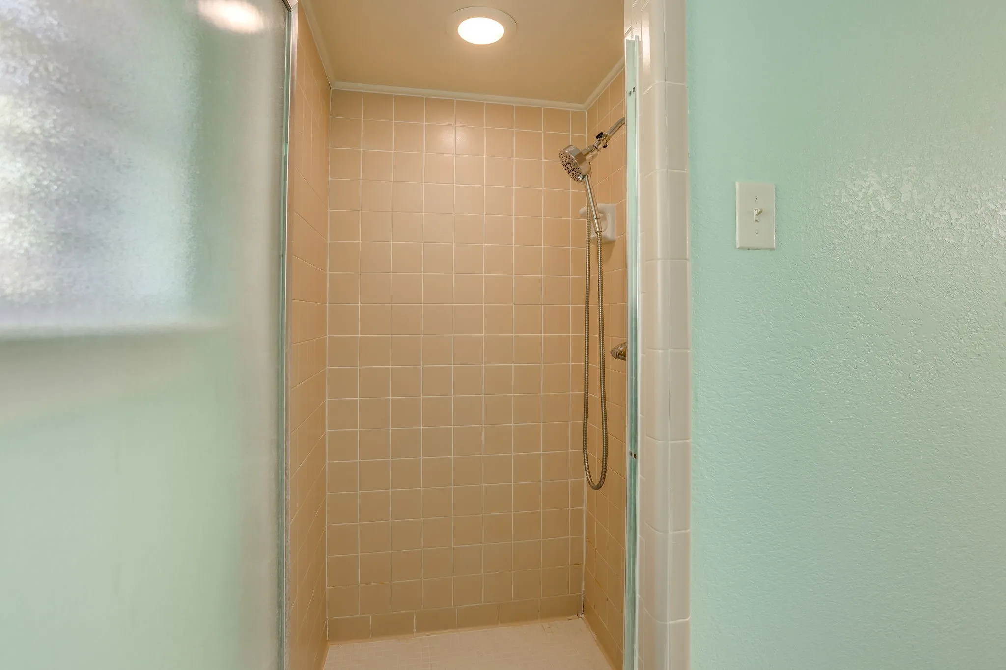 Step in Shower only in primary bathroom.