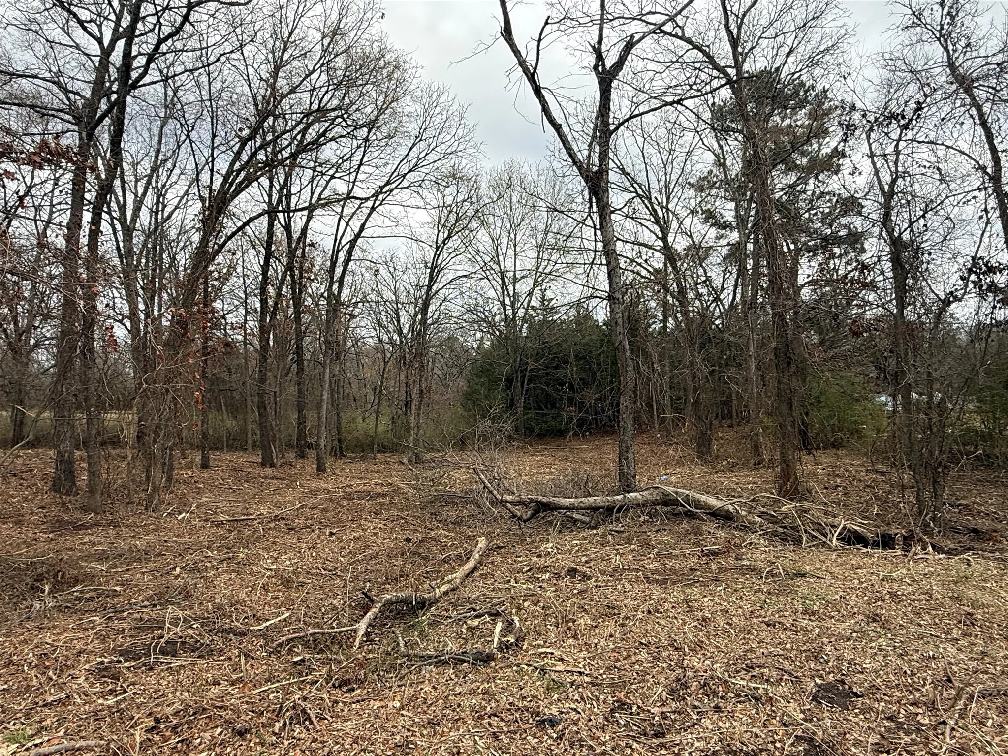 Unimproved Land For Sale in Van Zandt County , TBD (lot 7) FLorence Street, Grand Saline, Texas 75140, 0, 0, Garage spaces, 0 Sqft, built in 0, Price $17,000, mls#21217104, Real Estate Agent in Grand Saline, Homes For Sale in Van Zandt county, Homes For Sale in Grand Saline, Realtor in Grand Saline Texas, Real Estate Brokerage Independent Realty Texas, Luminita Cordes Realtor
