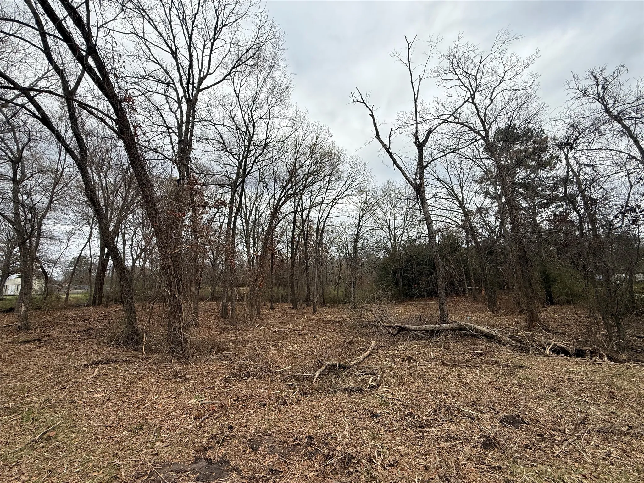Unimproved Land For Sale in Van Zandt County , TBD (lot 7) FLorence Street, Grand Saline, Texas 75140, 0, 0, Garage spaces, 0 Sqft, built in 0, Price $17,000, mls#21217104, Real Estate Agent in Grand Saline, Homes For Sale in Van Zandt county, Homes For Sale in Grand Saline, Realtor in Grand Saline Texas, Real Estate Brokerage Independent Realty Texas, Luminita Cordes Realtor