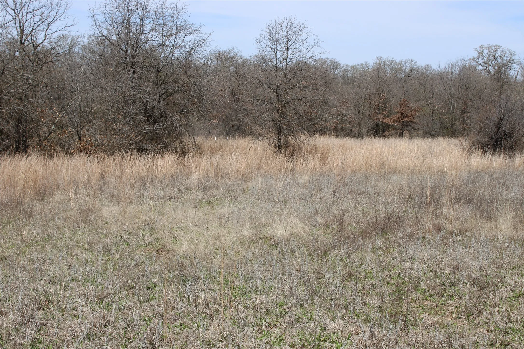 Unimproved Land For Sale in Jack County , 13 AC N Mason, Perrin, Texas 78486, 0, 0, Garage spaces, 0 Sqft, built in 0, mls#21217112, Real Estate Agent in Perrin, Homes For Sale in Jack county, Homes For Sale in Perrin, Realtor in Perrin Texas, Real Estate Brokerage Independent Realty Texas, Luminita Cordes Realtor
