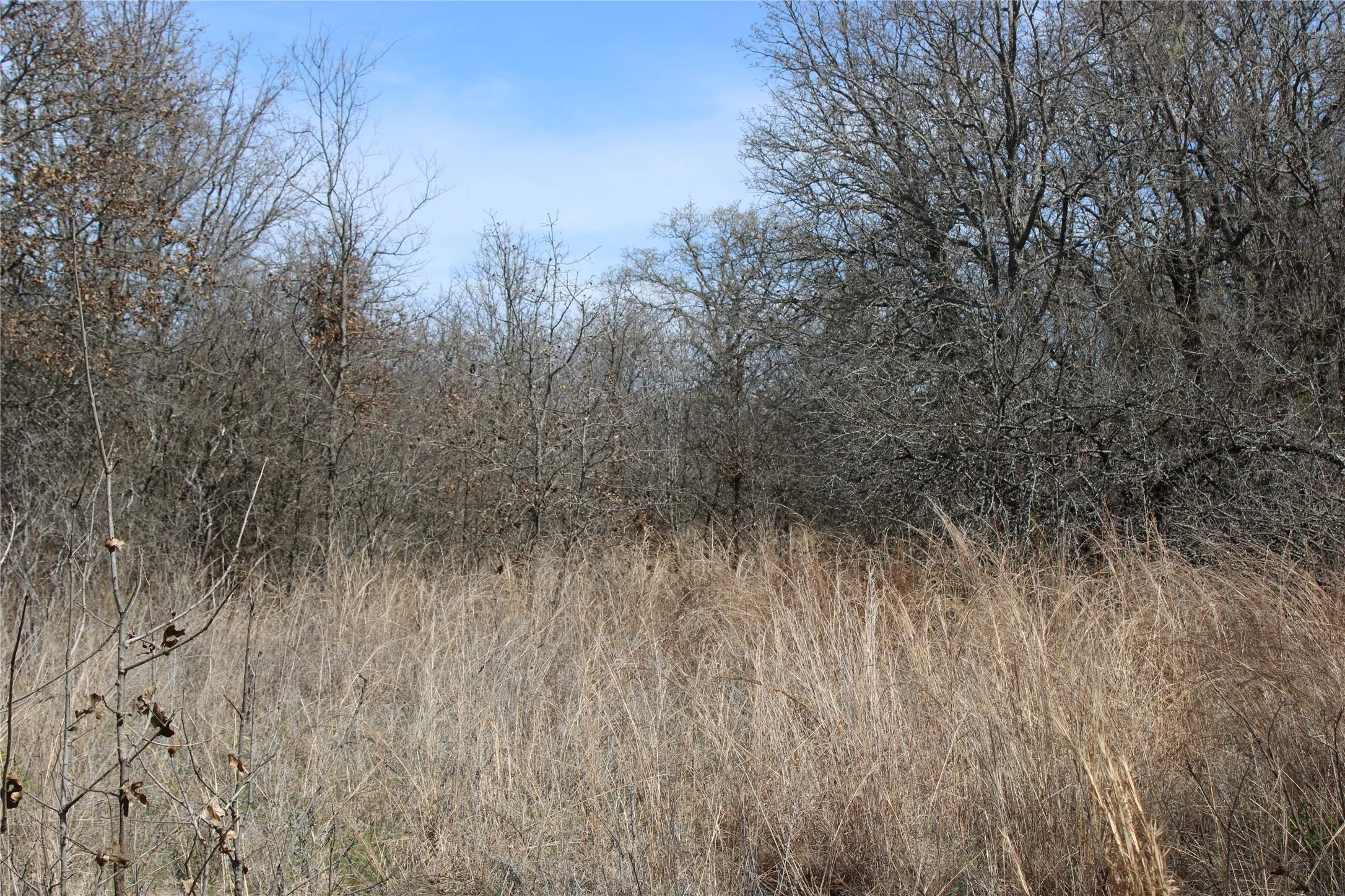 Unimproved Land For Sale in Jack County , 13 AC N Mason, Perrin, Texas 78486, 0, 0, Garage spaces, 0 Sqft, built in 0, mls#21217112, Real Estate Agent in Perrin, Homes For Sale in Jack county, Homes For Sale in Perrin, Realtor in Perrin Texas, Real Estate Brokerage Independent Realty Texas, Luminita Cordes Realtor